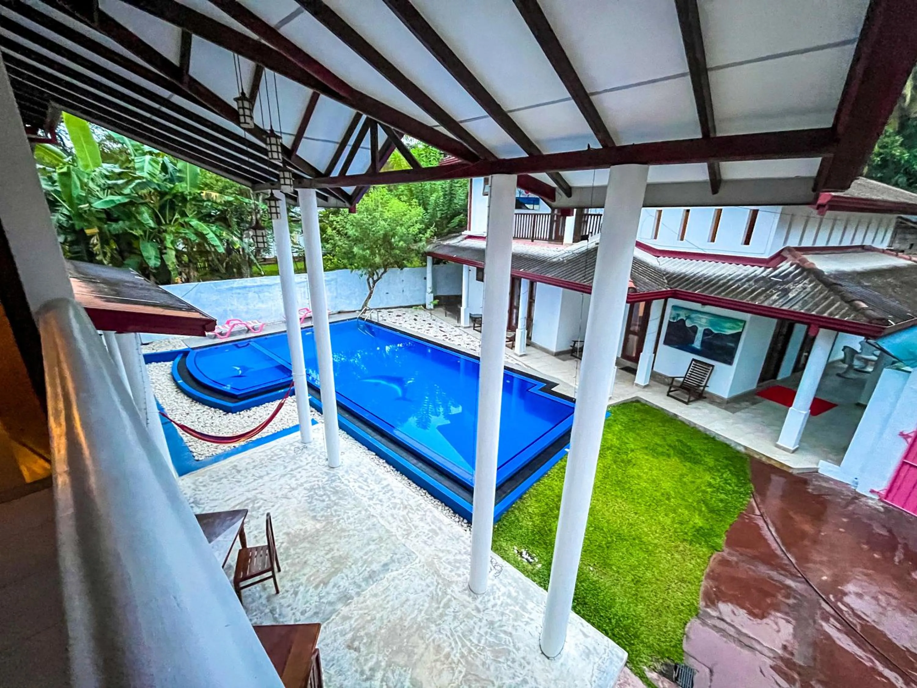 Day in Galle Camellia