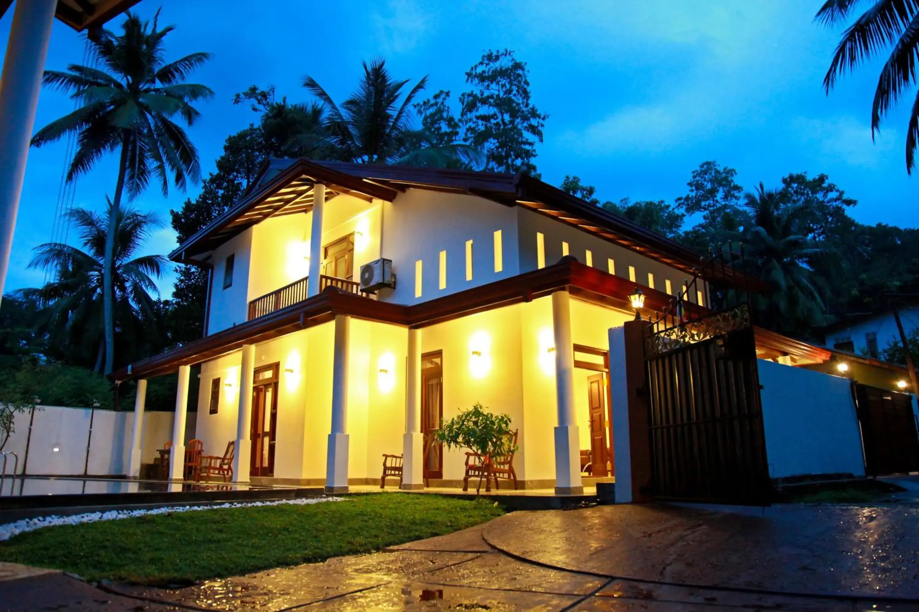 Galle Camellia Galle Camellia