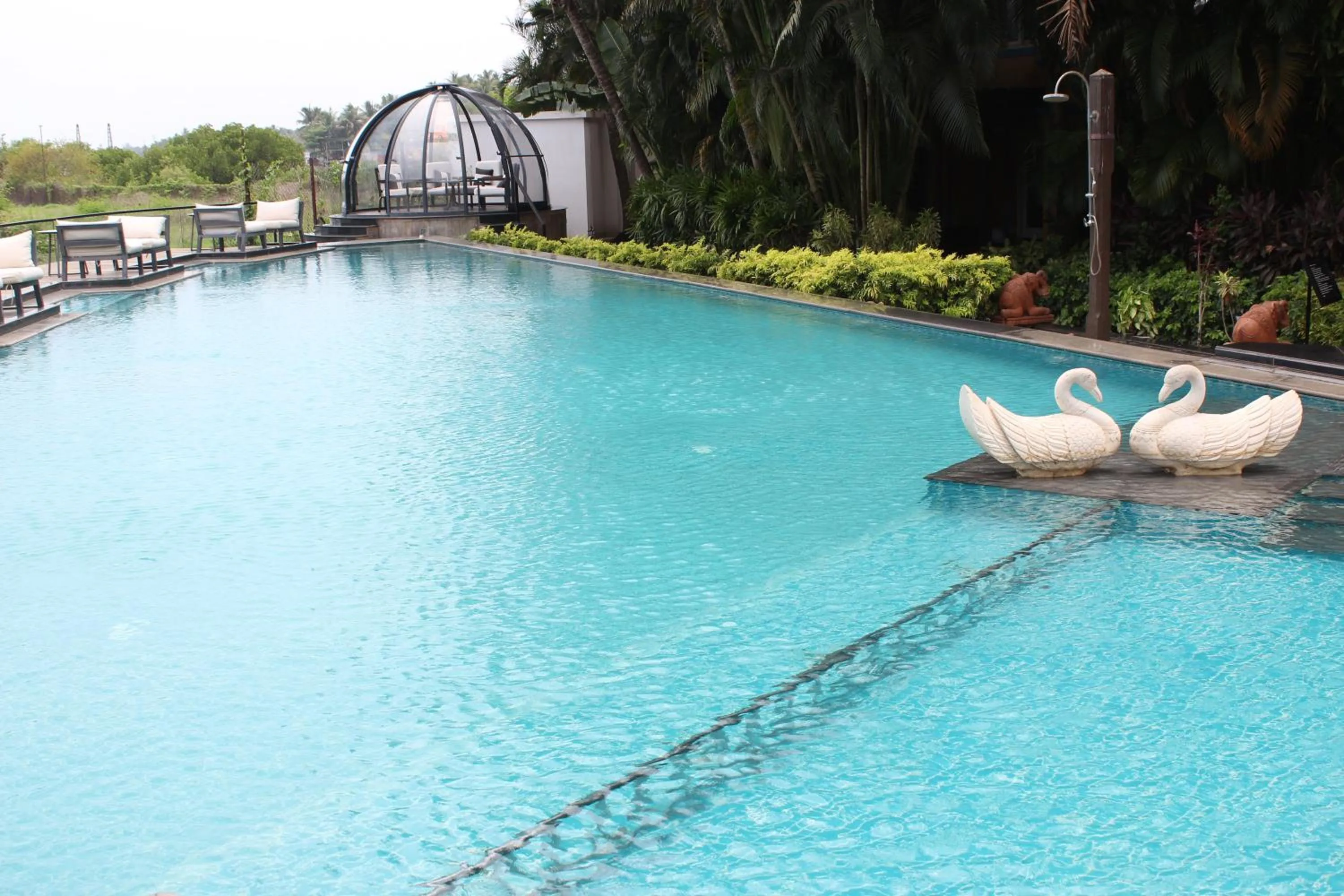 Swimming pool in Fenicia Riverside Resort