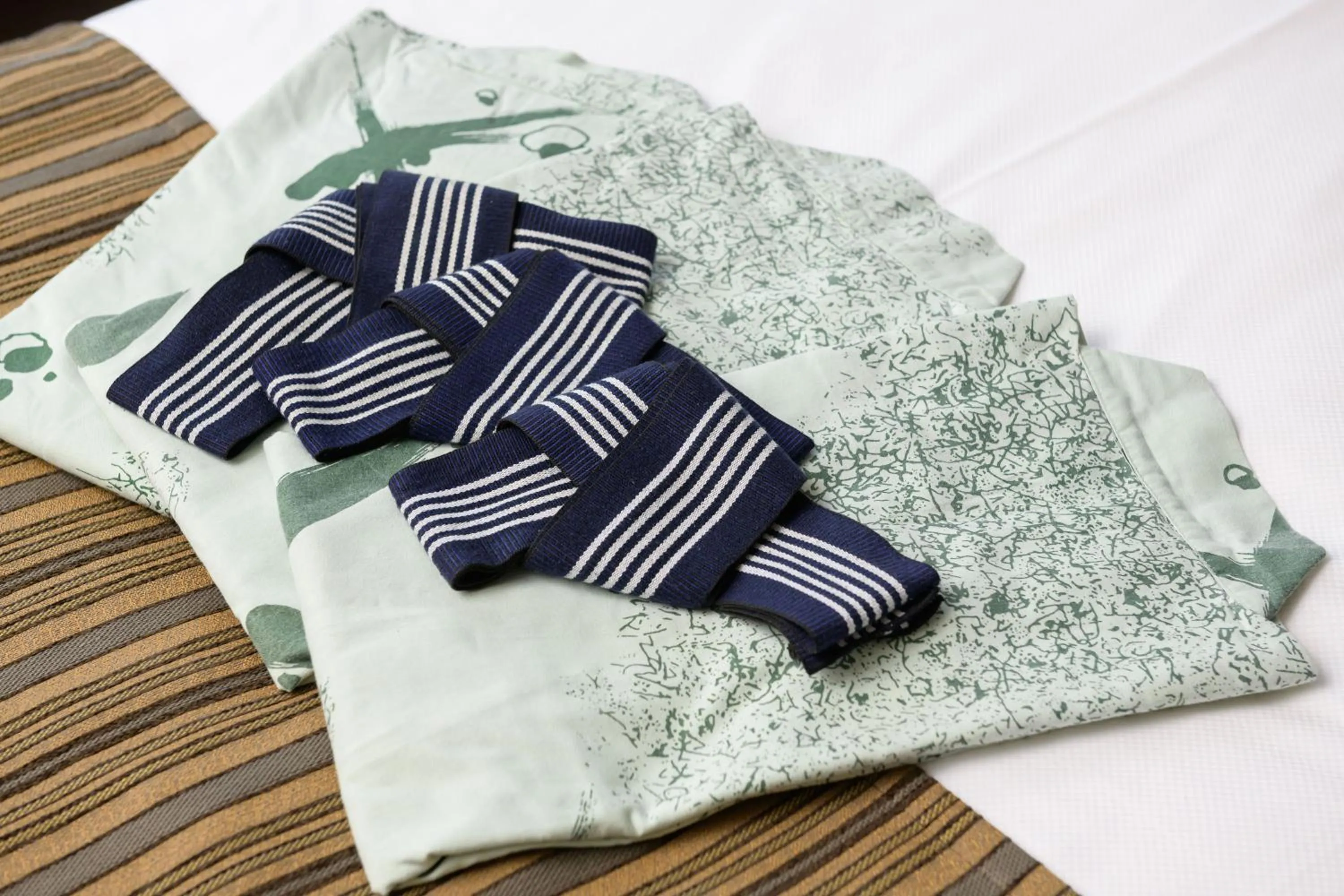 Photo of the whole room in Hotel Asyl Nara Annex