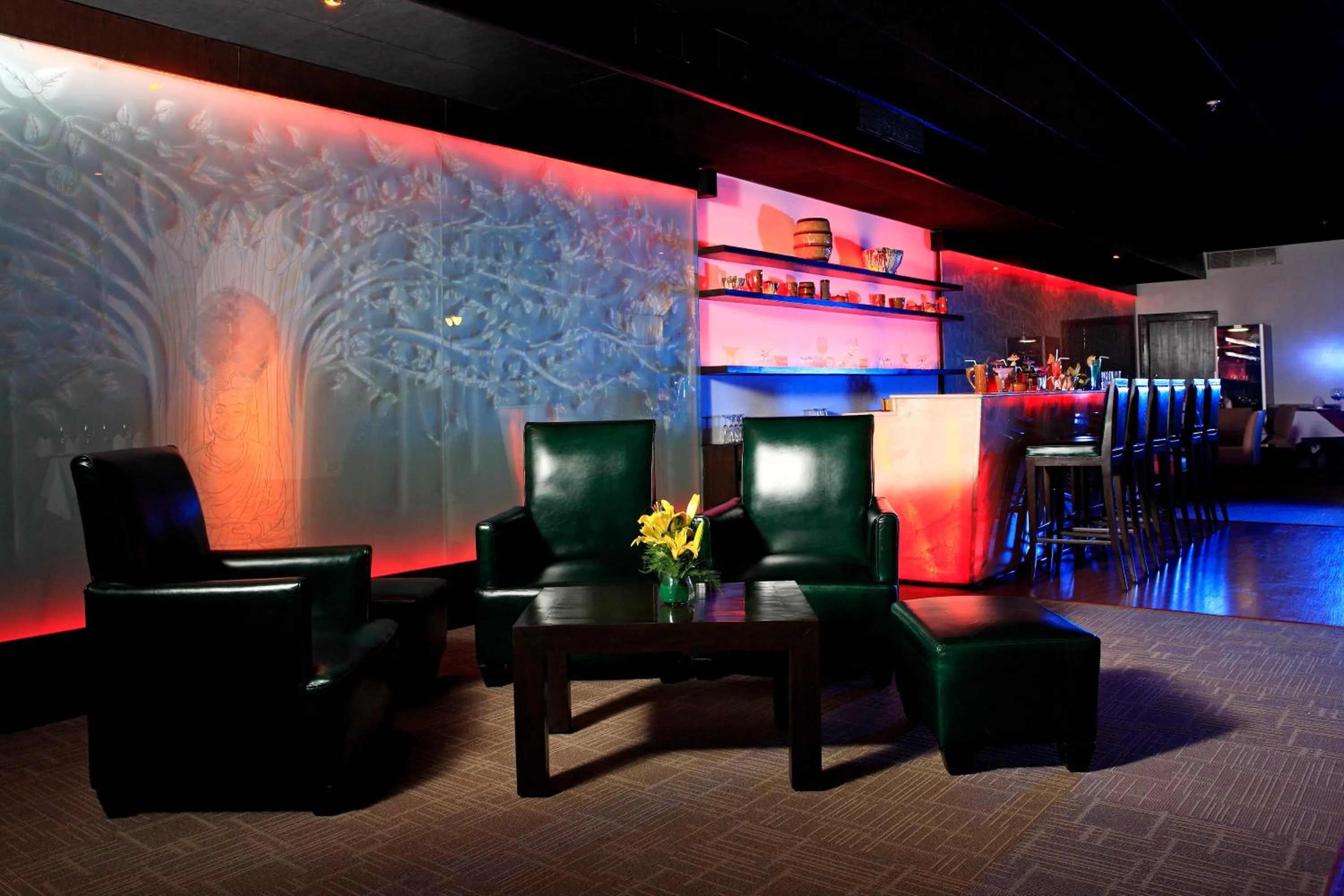 Restaurant/places to eat in Ellaa Hotel Gachibowli