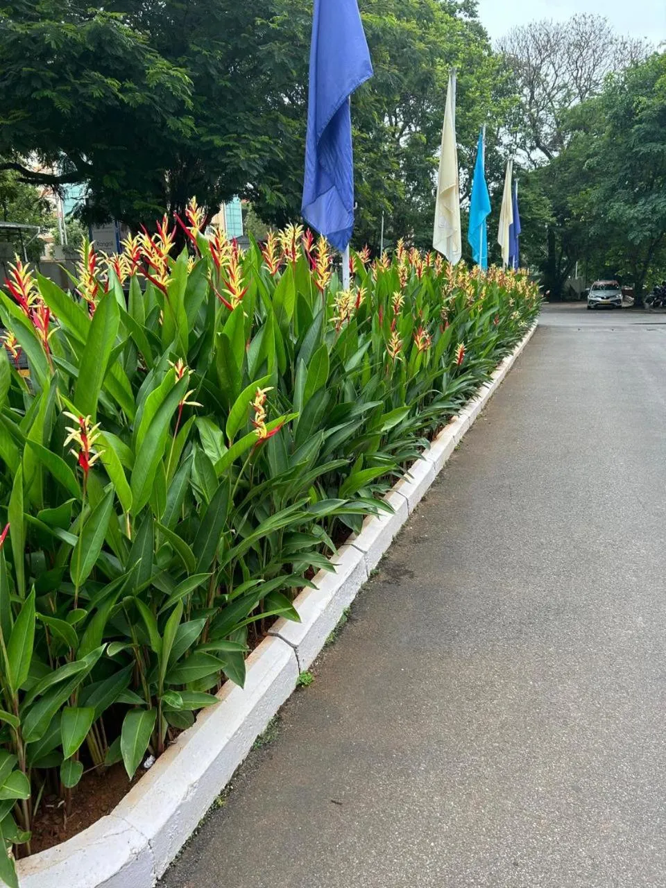 Garden in Fortune Valley View, Manipal - Member ITC Hotels' Group