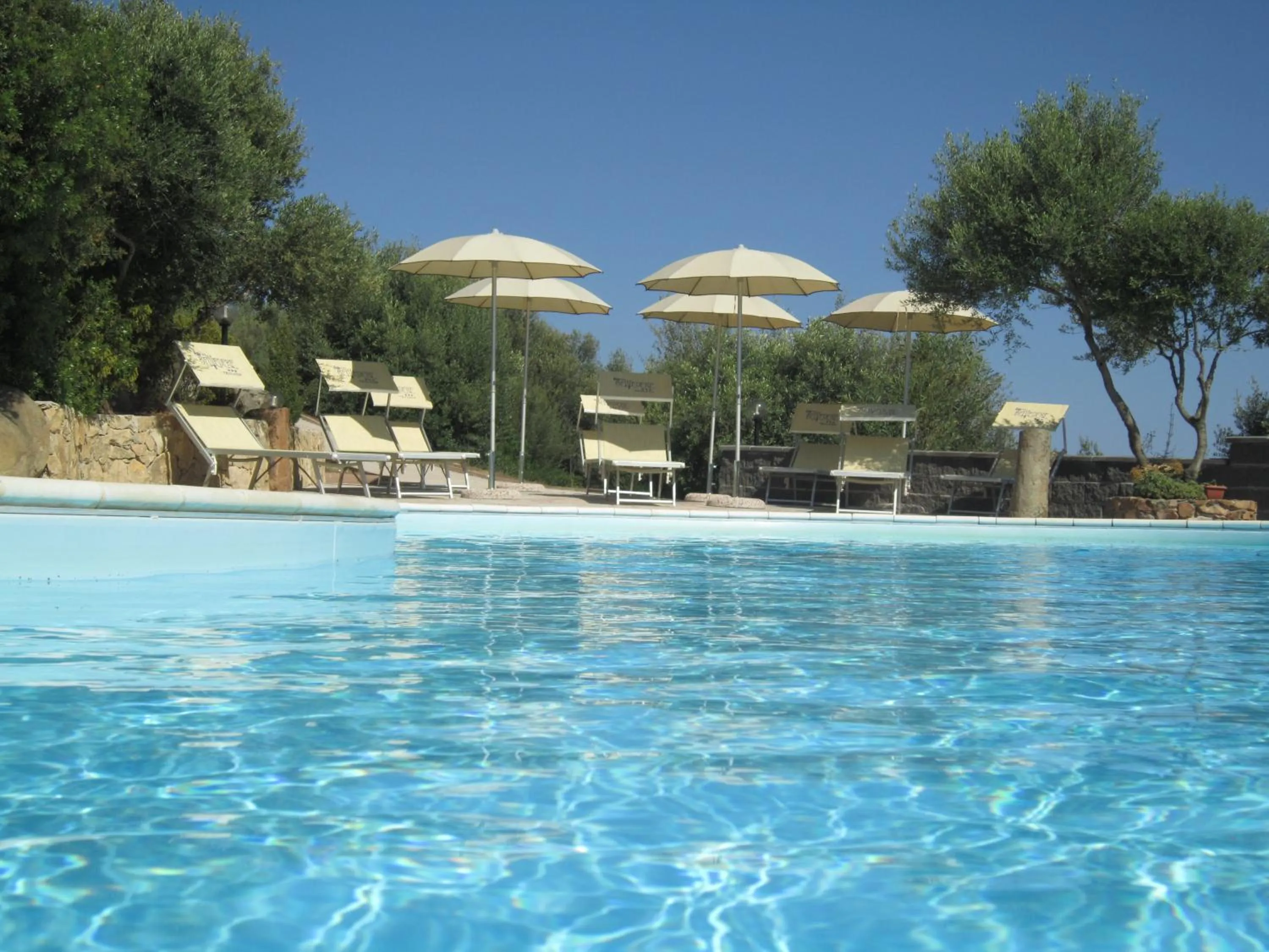 Area and facilities in Hotel Belvedere