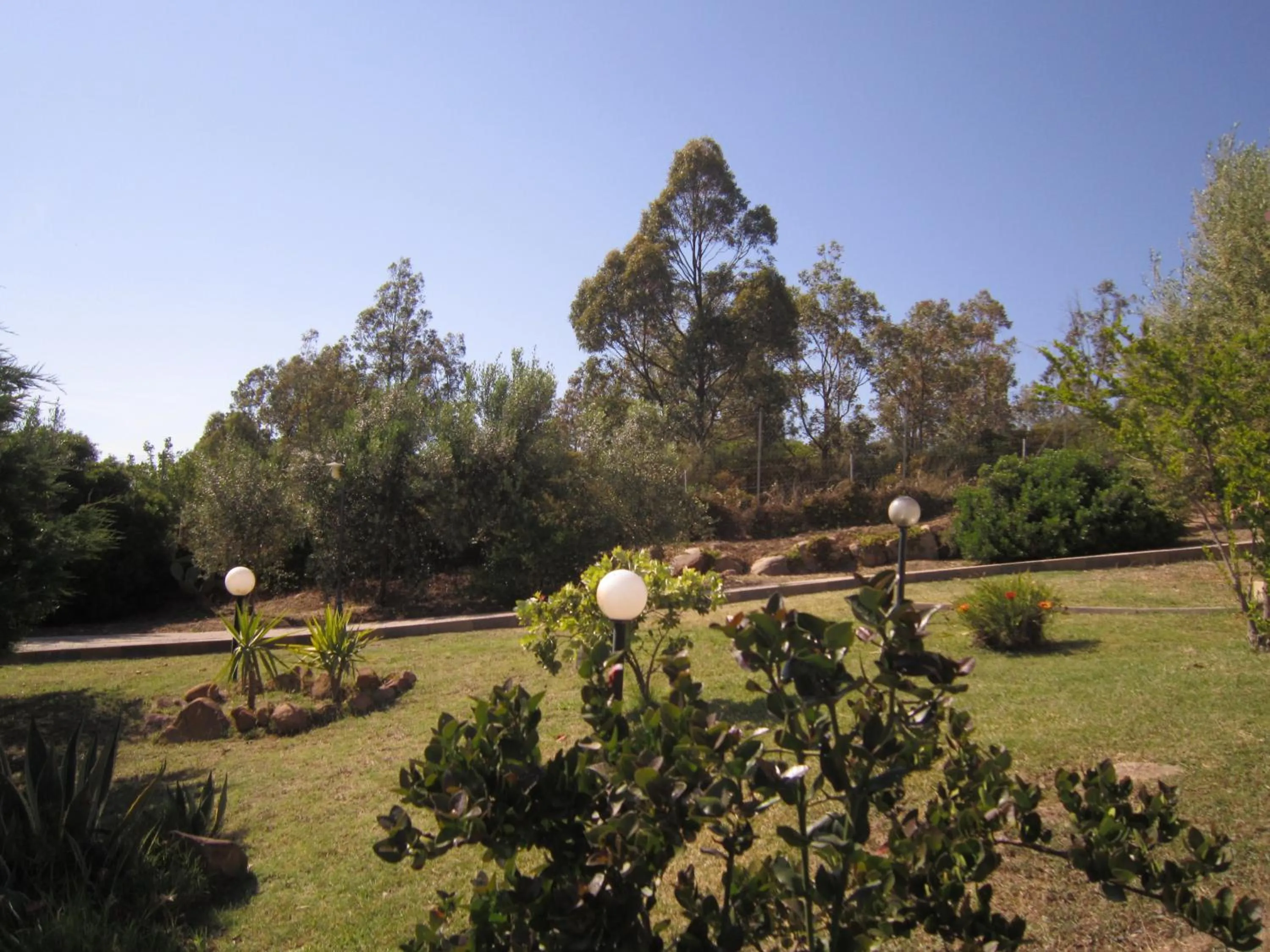 Garden in Hotel Belvedere