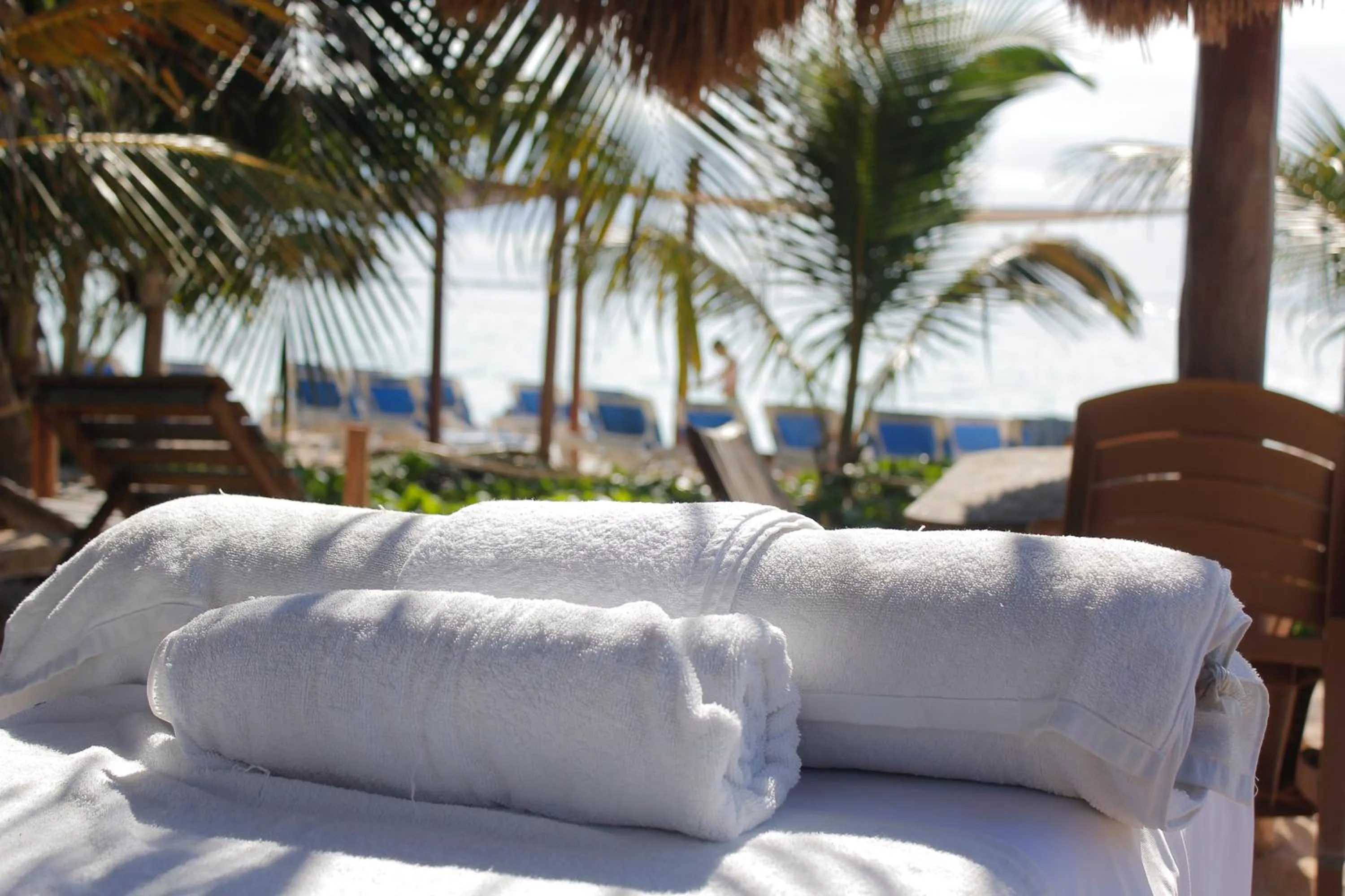 Restaurant/places to eat in Eco Cabañas Bluekay