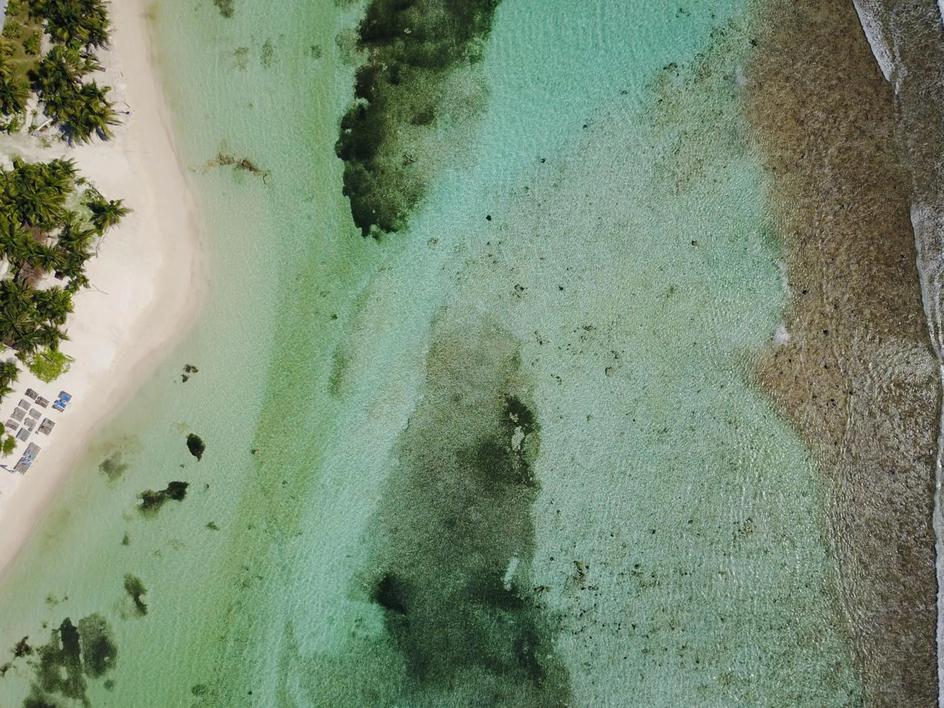 Eco Cabañas Bluekay