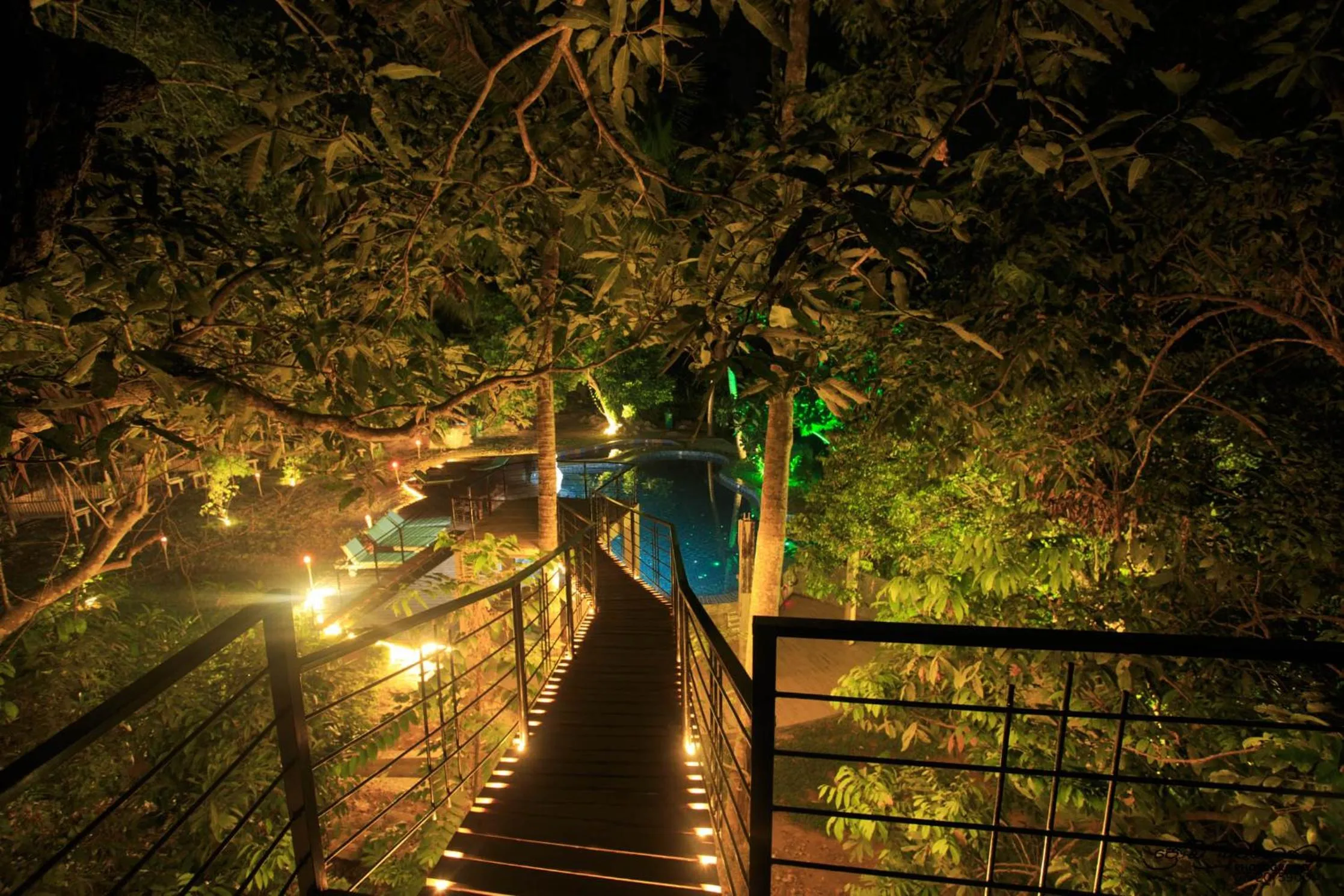 Natural landscape in Jungle Village Unawatuna