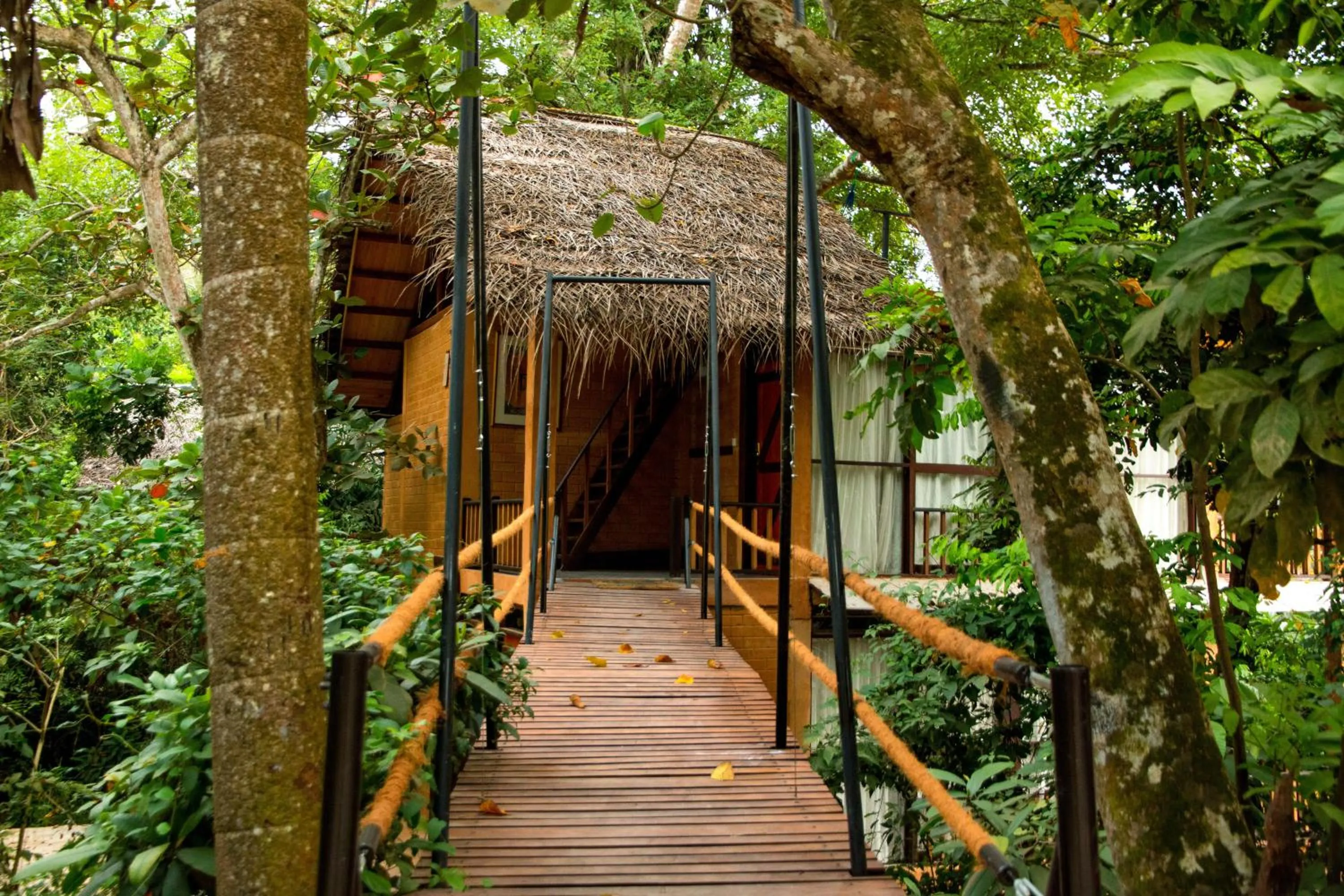 Other in Jungle Village Unawatuna