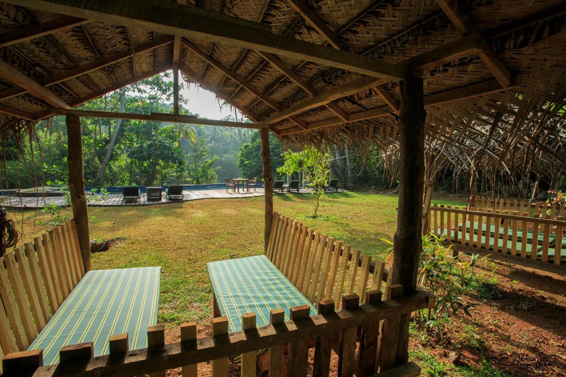 Garden in Jungle Village Unawatuna