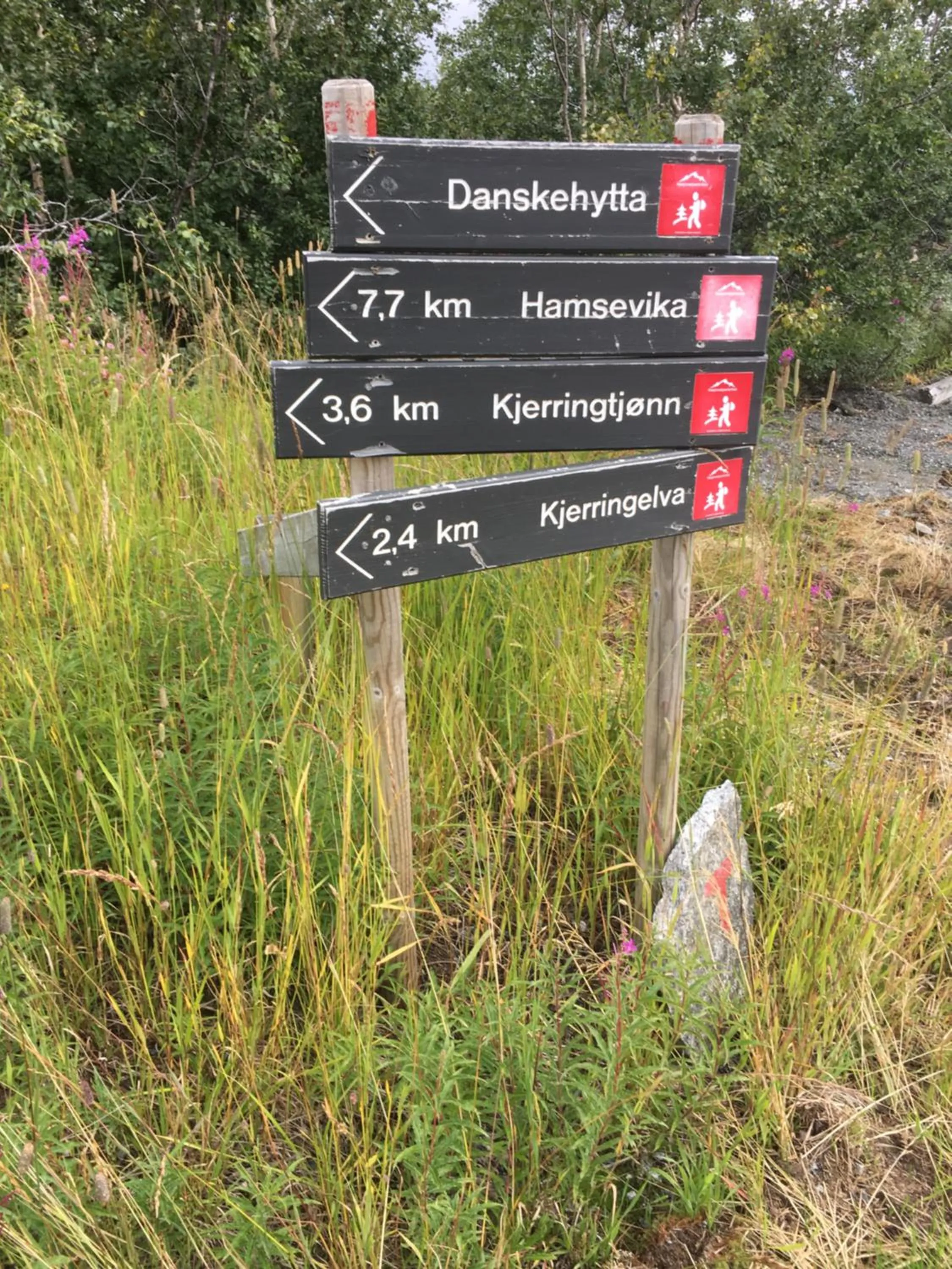 Summer in Grotli Høyfjellshotell