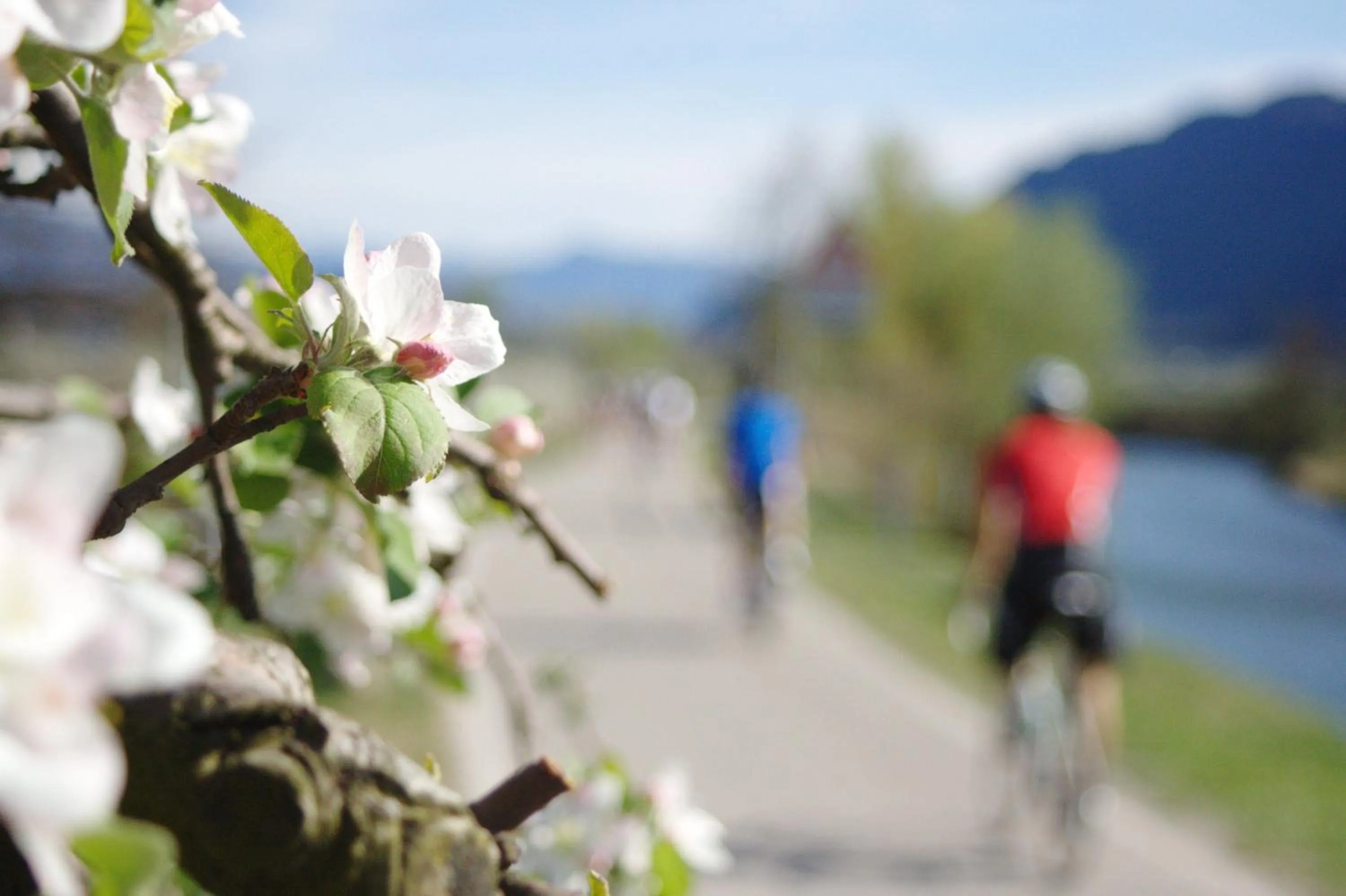 Cycling in Hotel Sparerhof