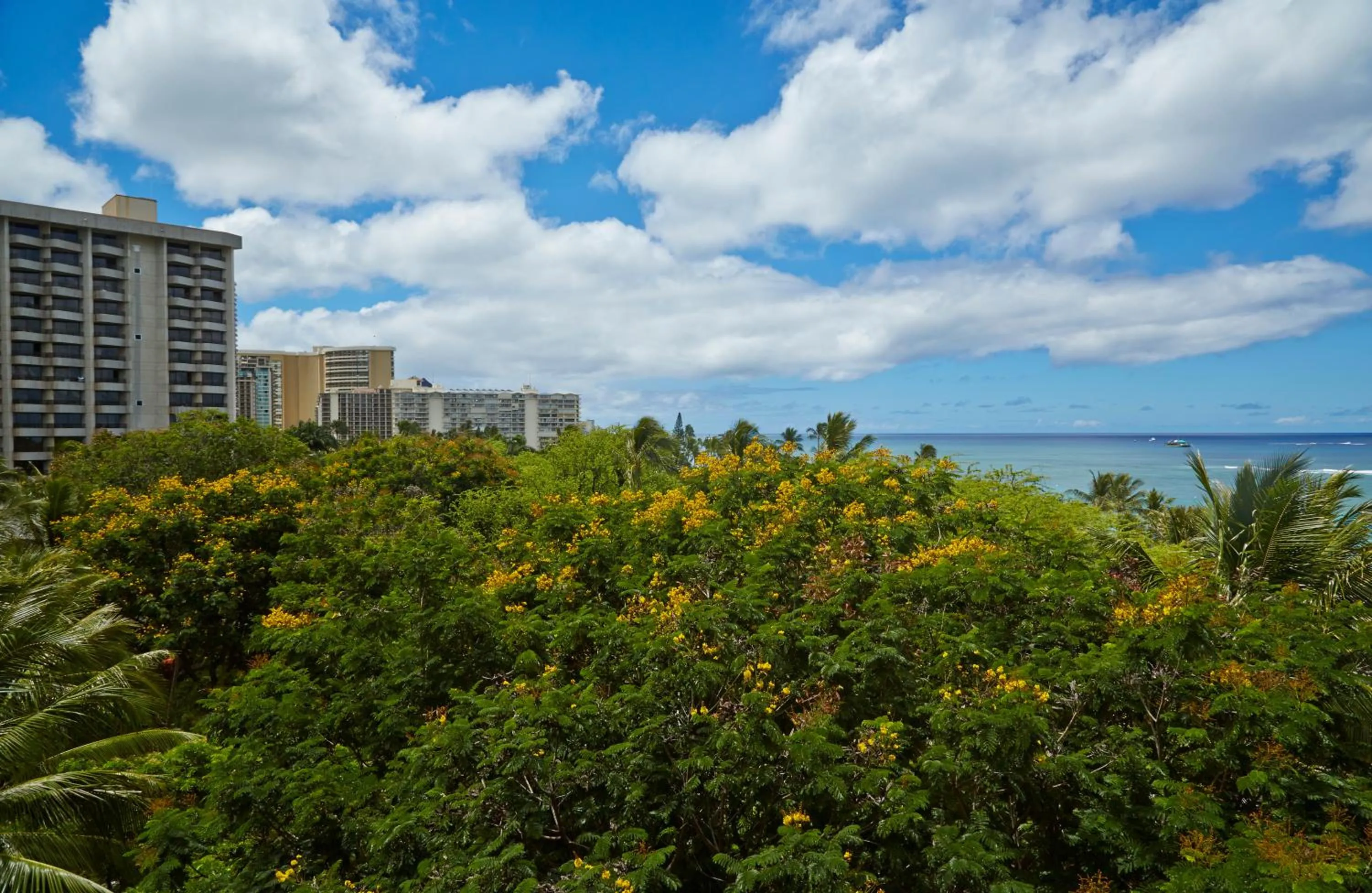 Day in Hilton Hawaiian Village Waikiki Beach Resort