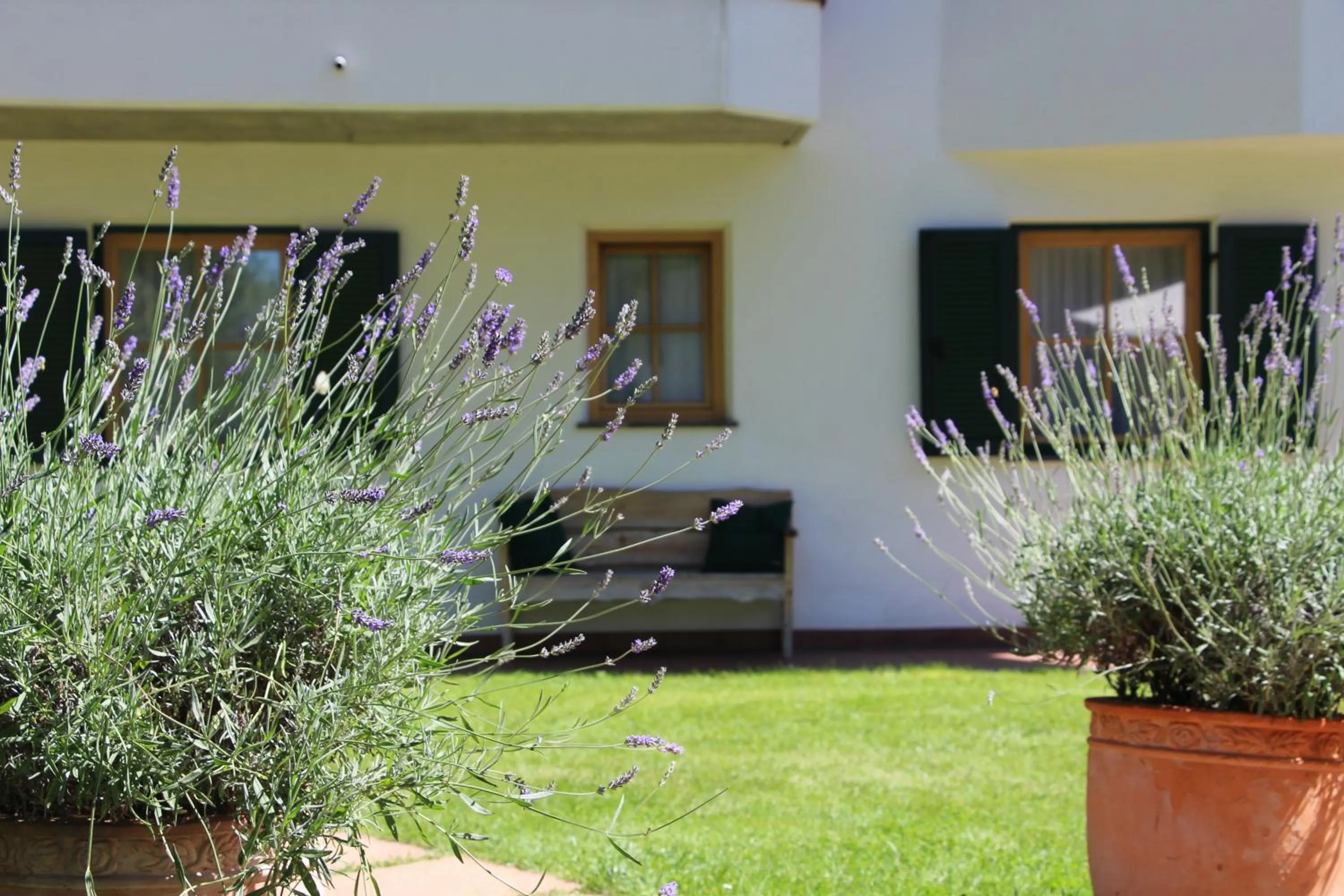 Garden in Villa Ortensia