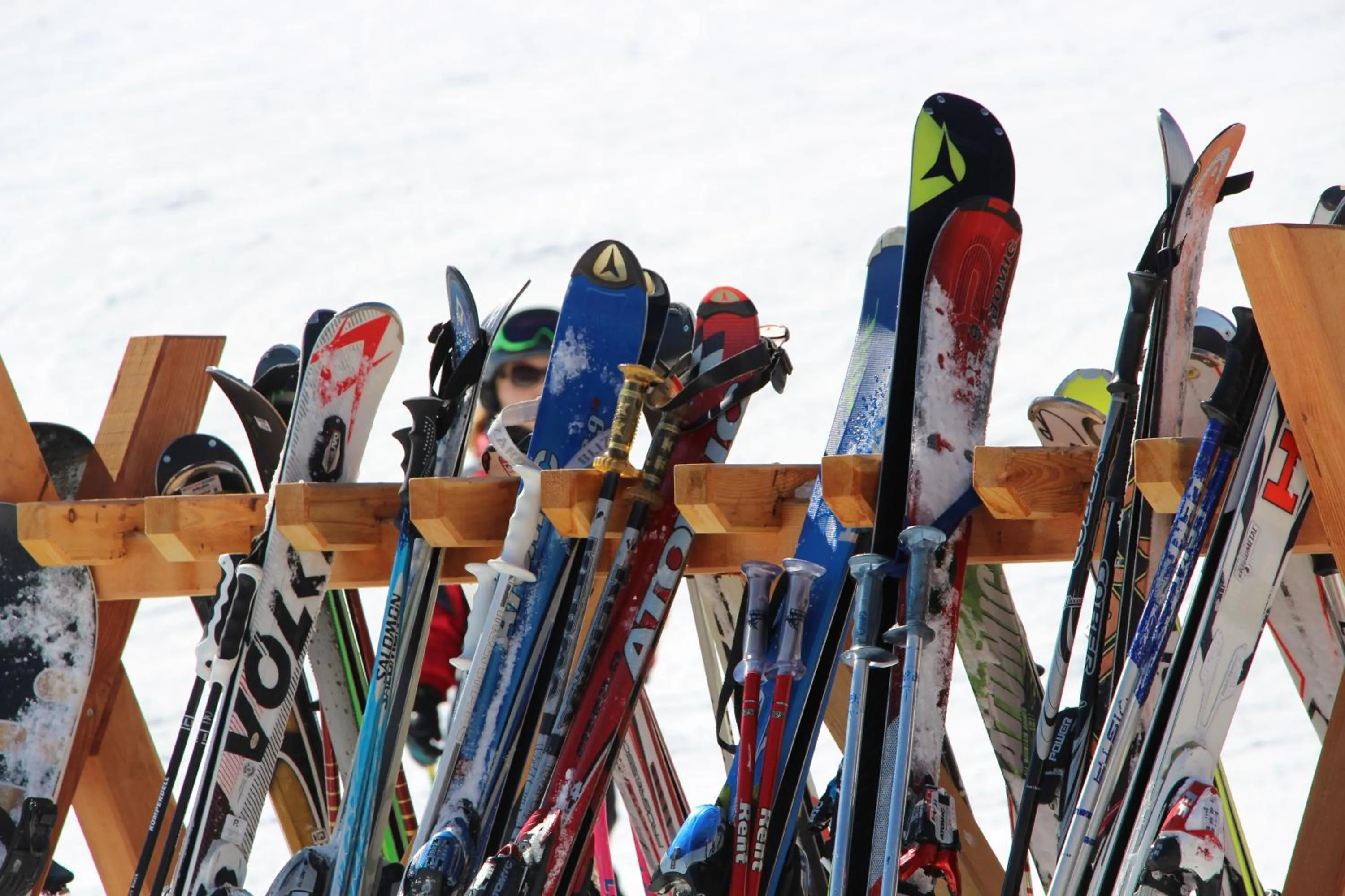 Area and facilities in Villa Ortensia