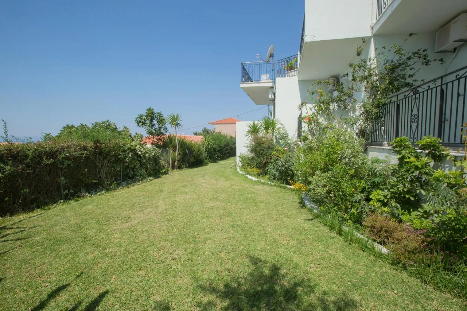 Garden in Summer Dream