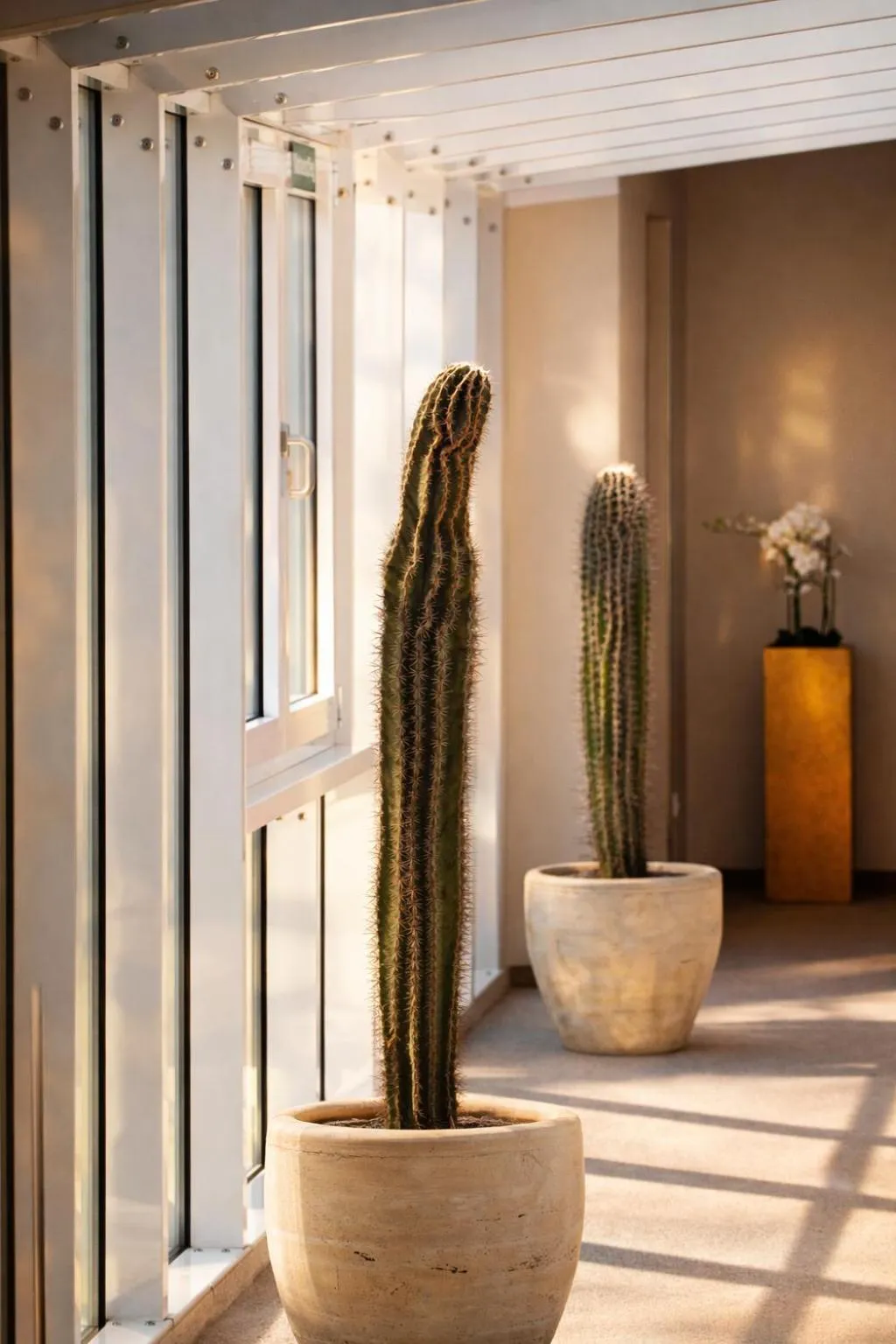 Property building in Hotel Sonne