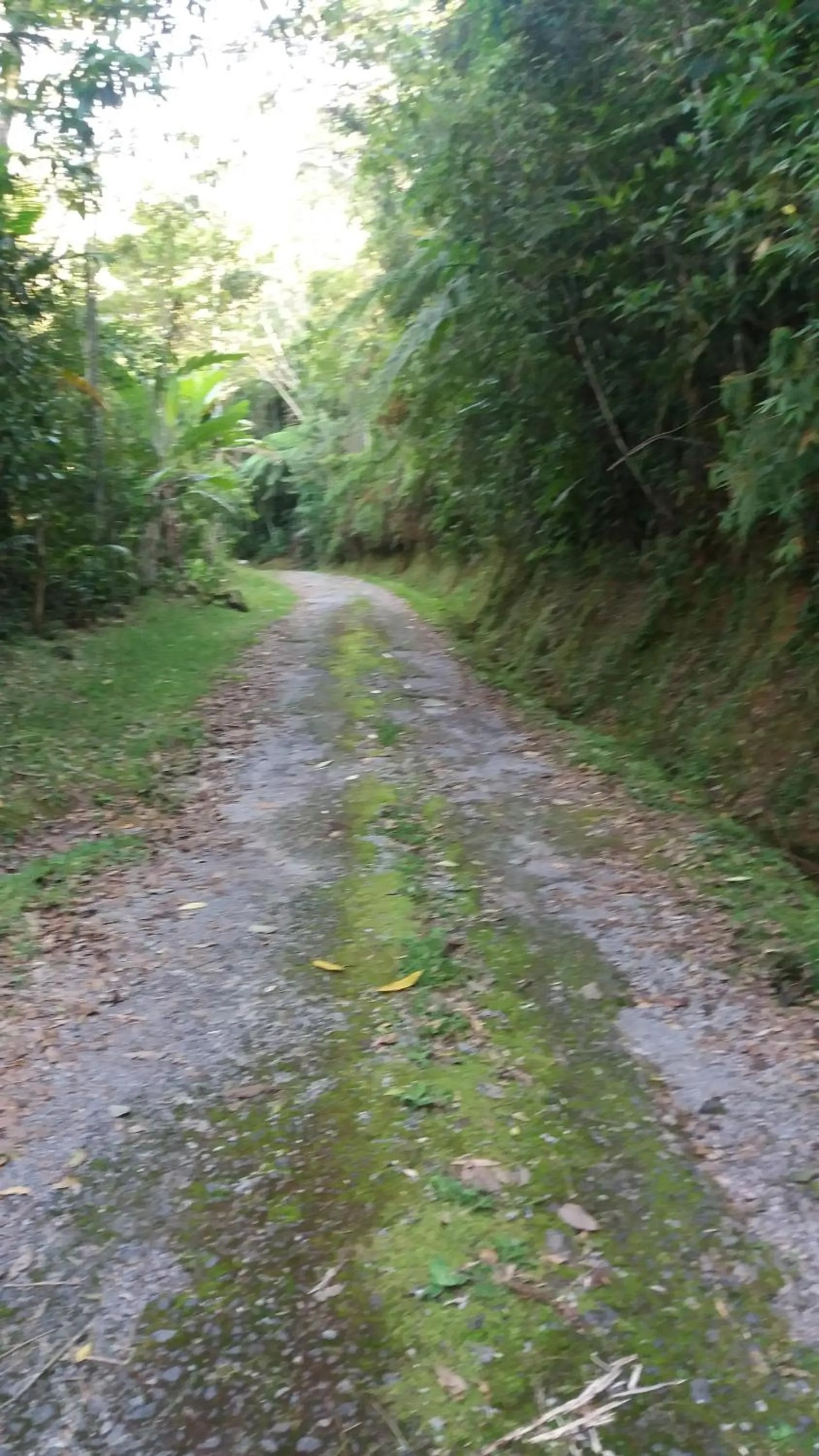 Location in Vista Linda Hotel