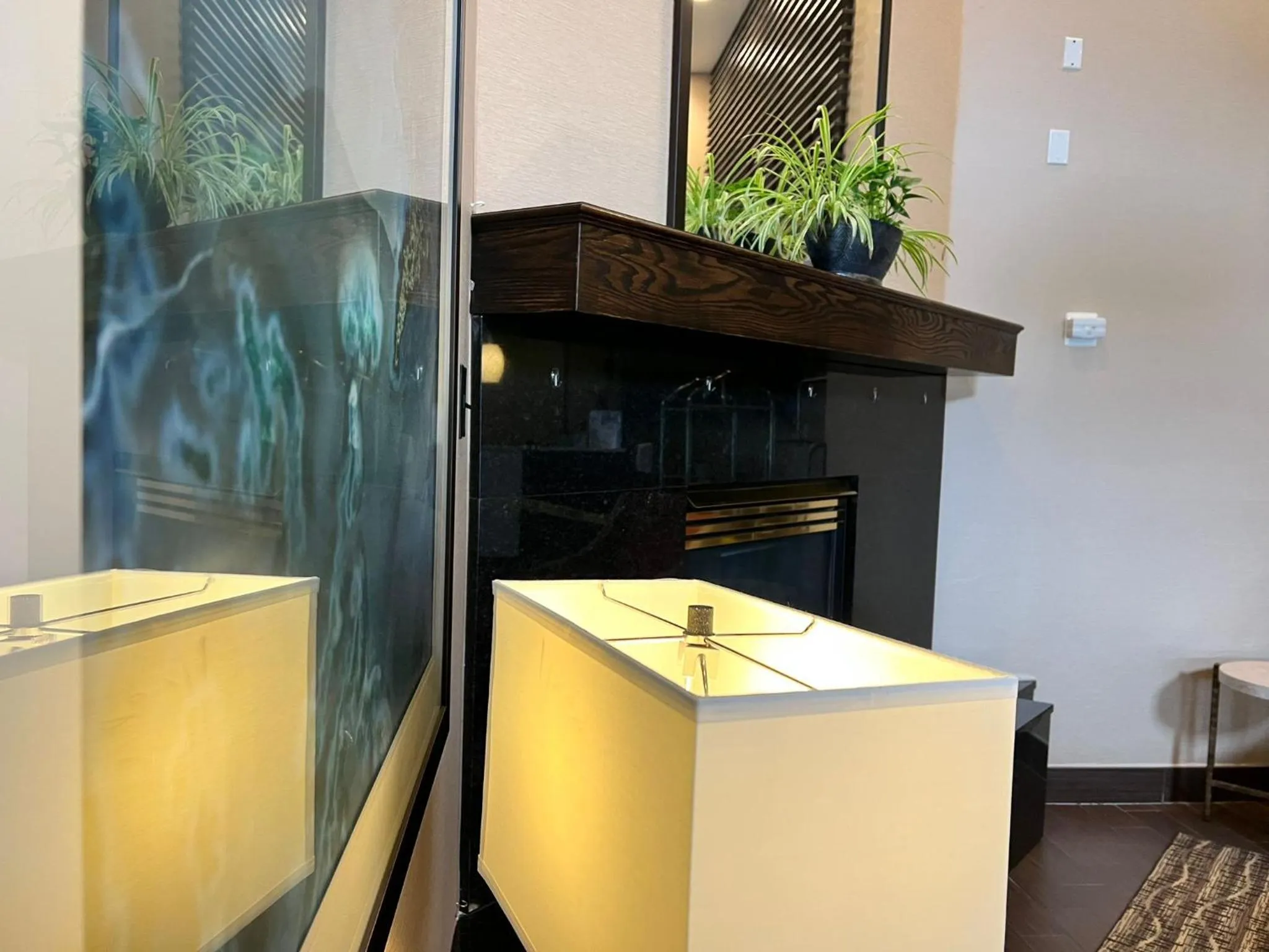 Lobby or reception in Comfort Suites Louisville East