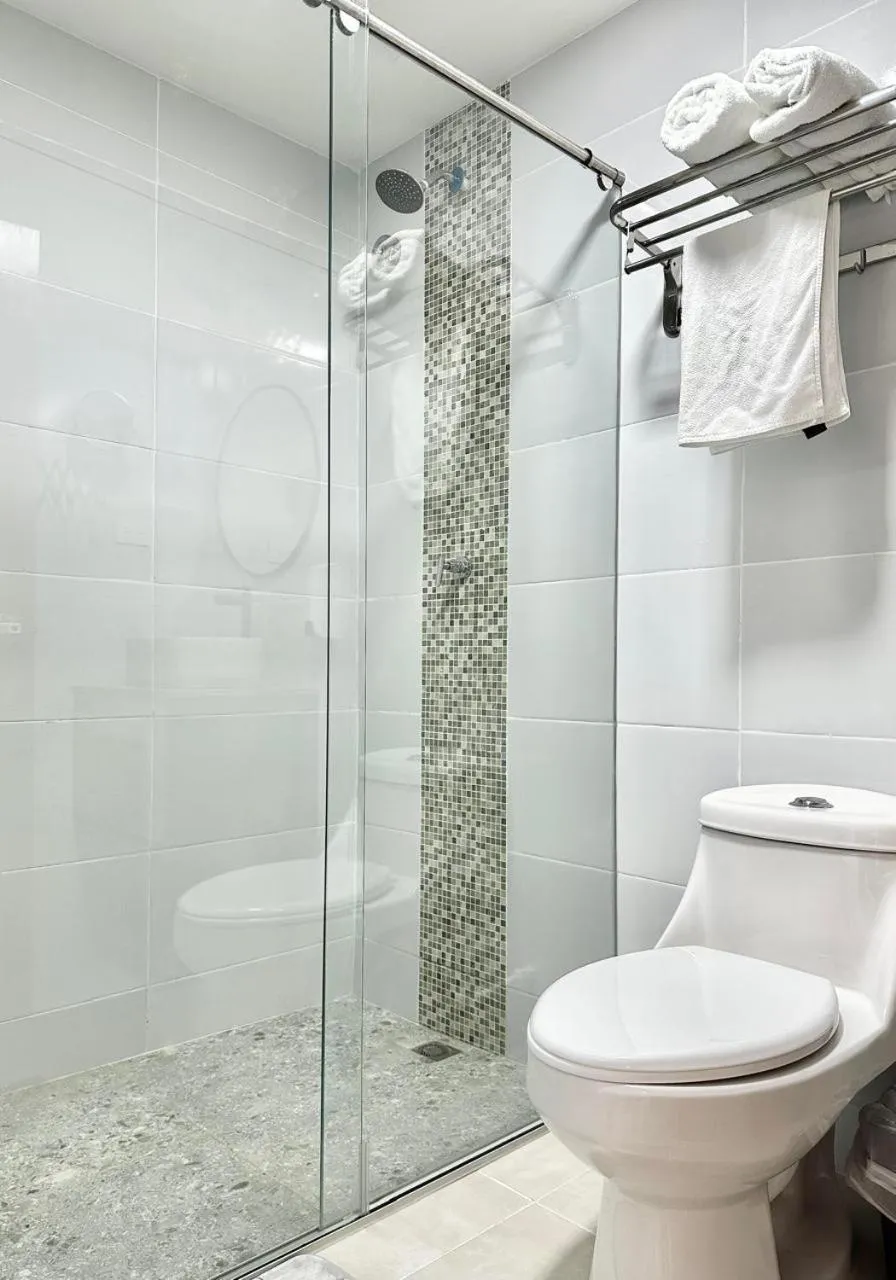 Shower in Hotel Boutique Casa Berastegui