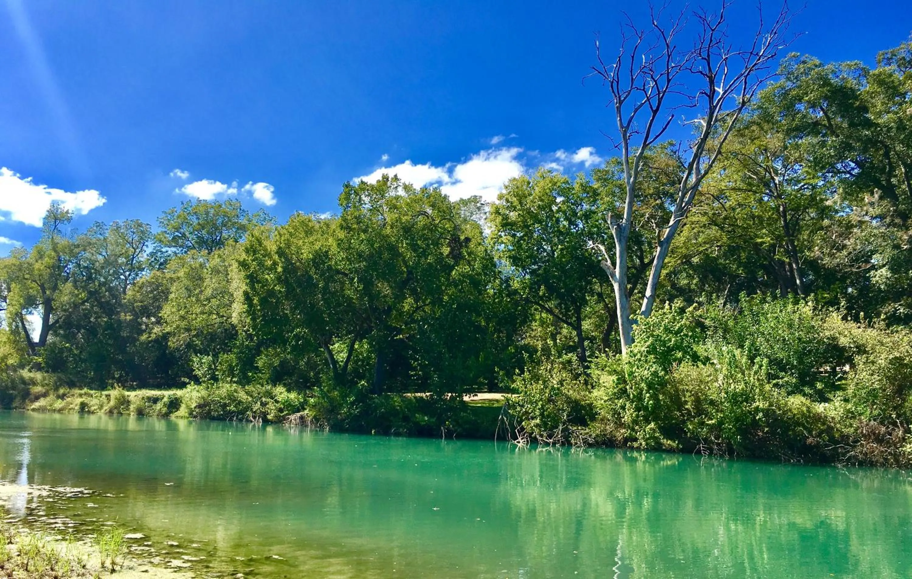 River view in The River House