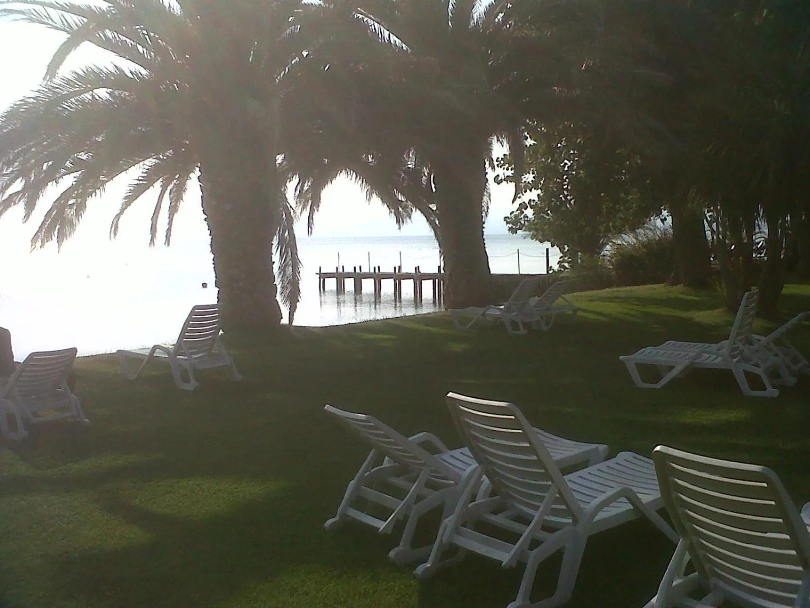 Garden in Hotel Eden Sul Lago