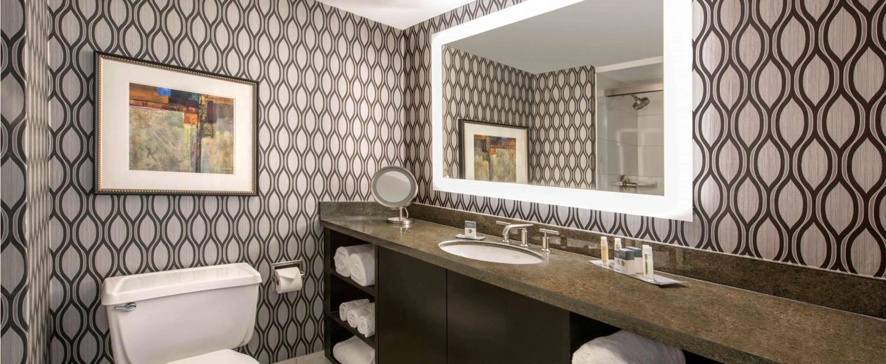 Bathroom in DoubleTree by Hilton Hotel Chicago Wood Dale - Elk Grove