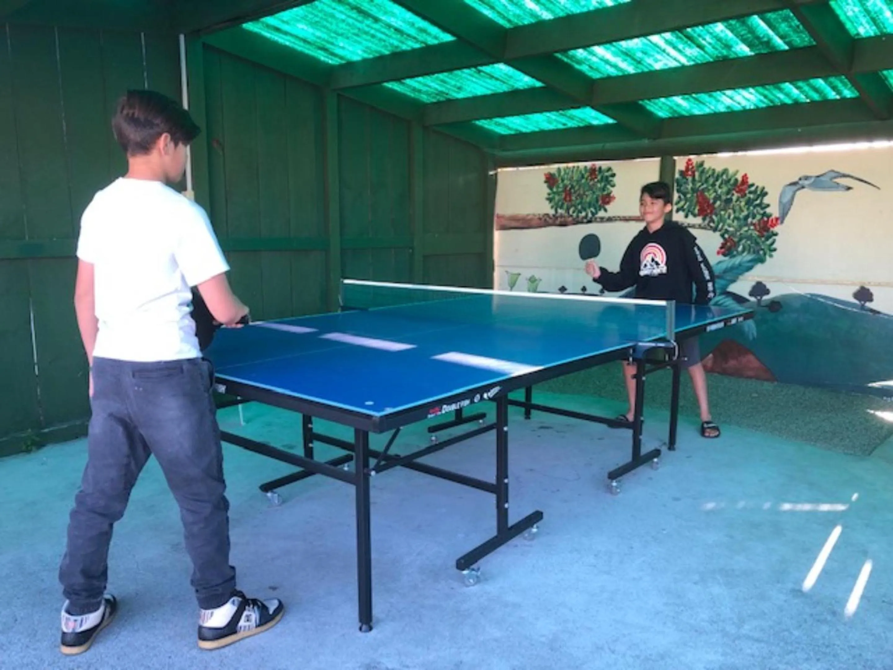 Game Room in Cottage Park Thermal Motel