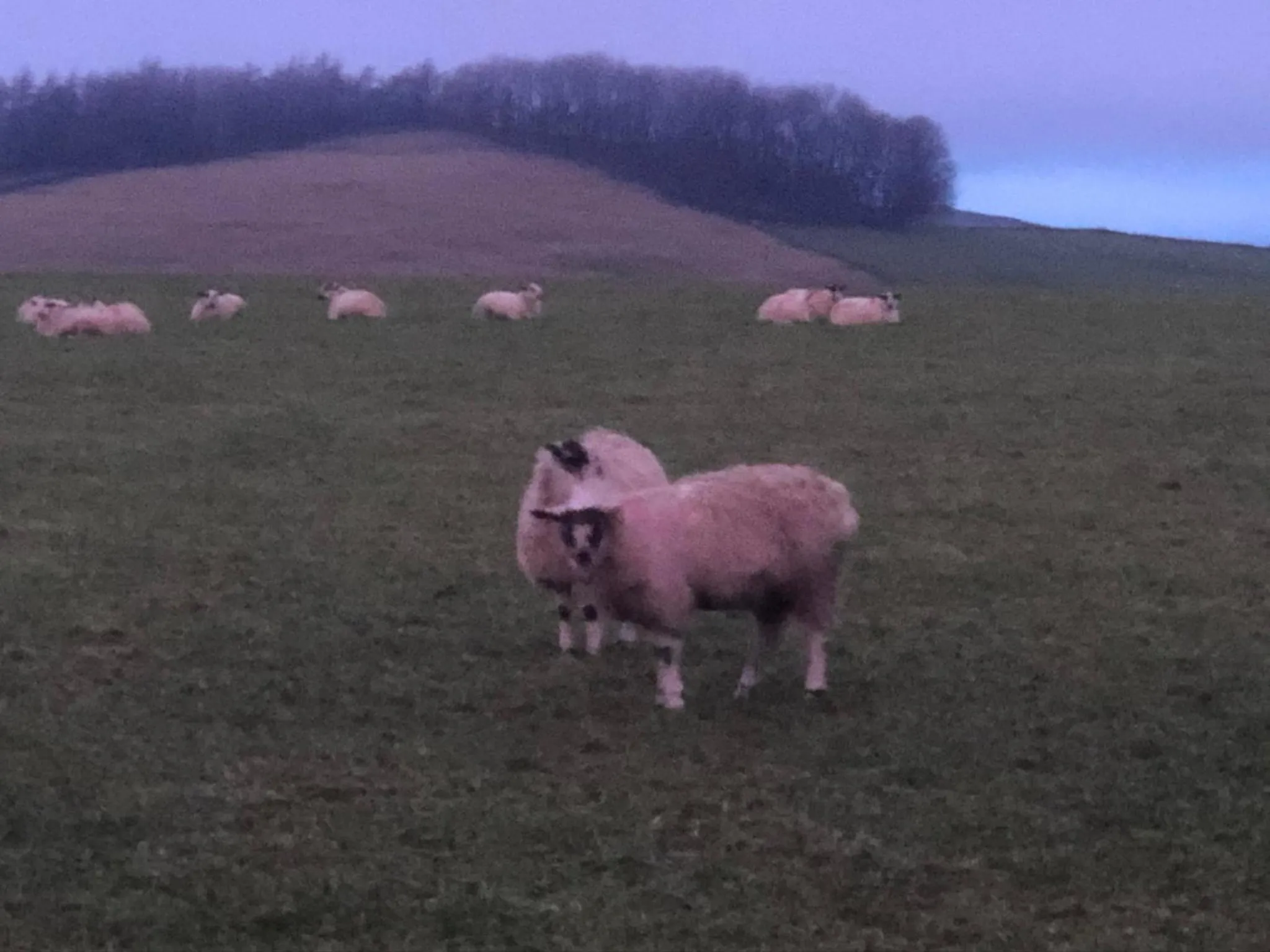View (from property/room) in The Jug & Glass Inn