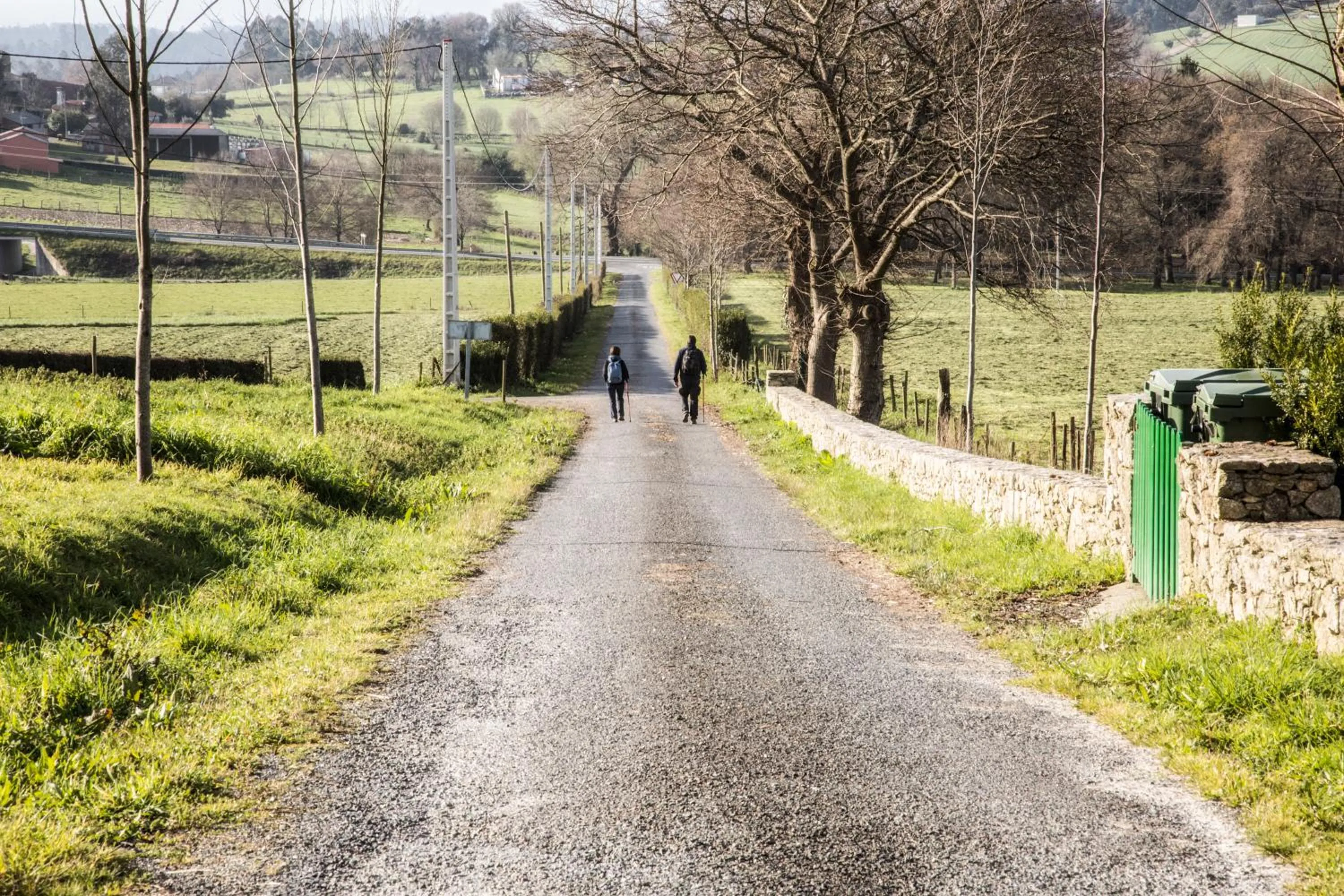 Other in Pazo de Sedor