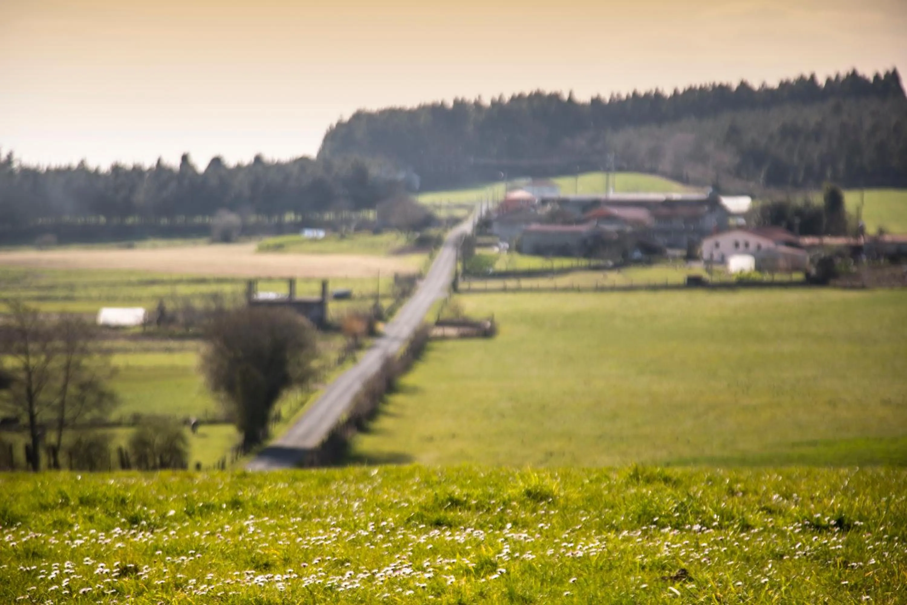Garden in Pazo de Sedor