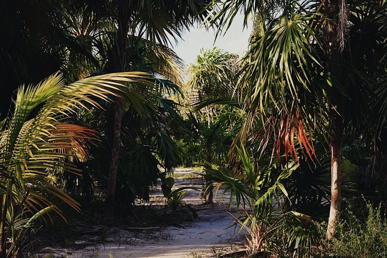 Barefoot Beach Belize