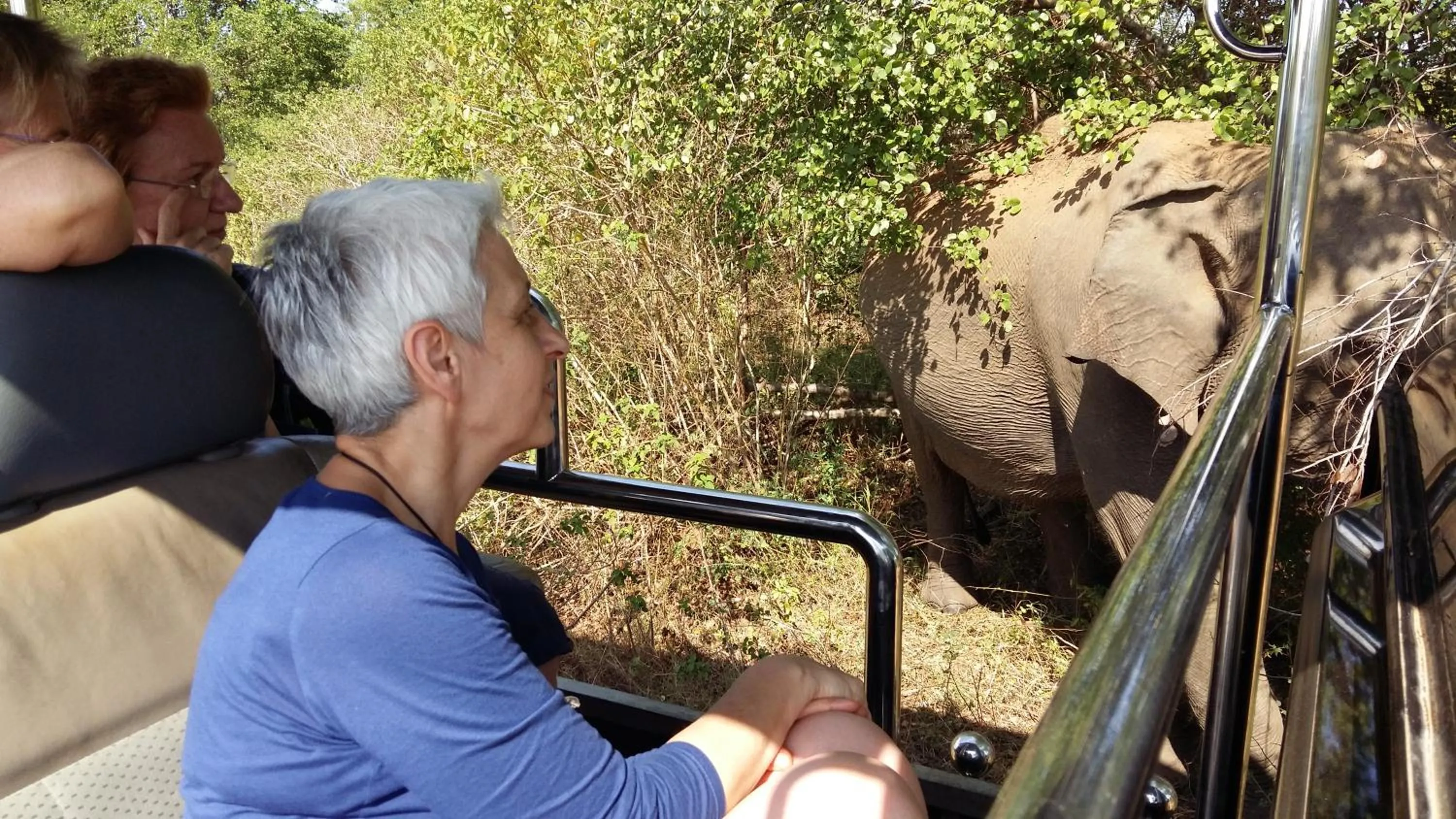 Day in Butterfly Homestead Hotel