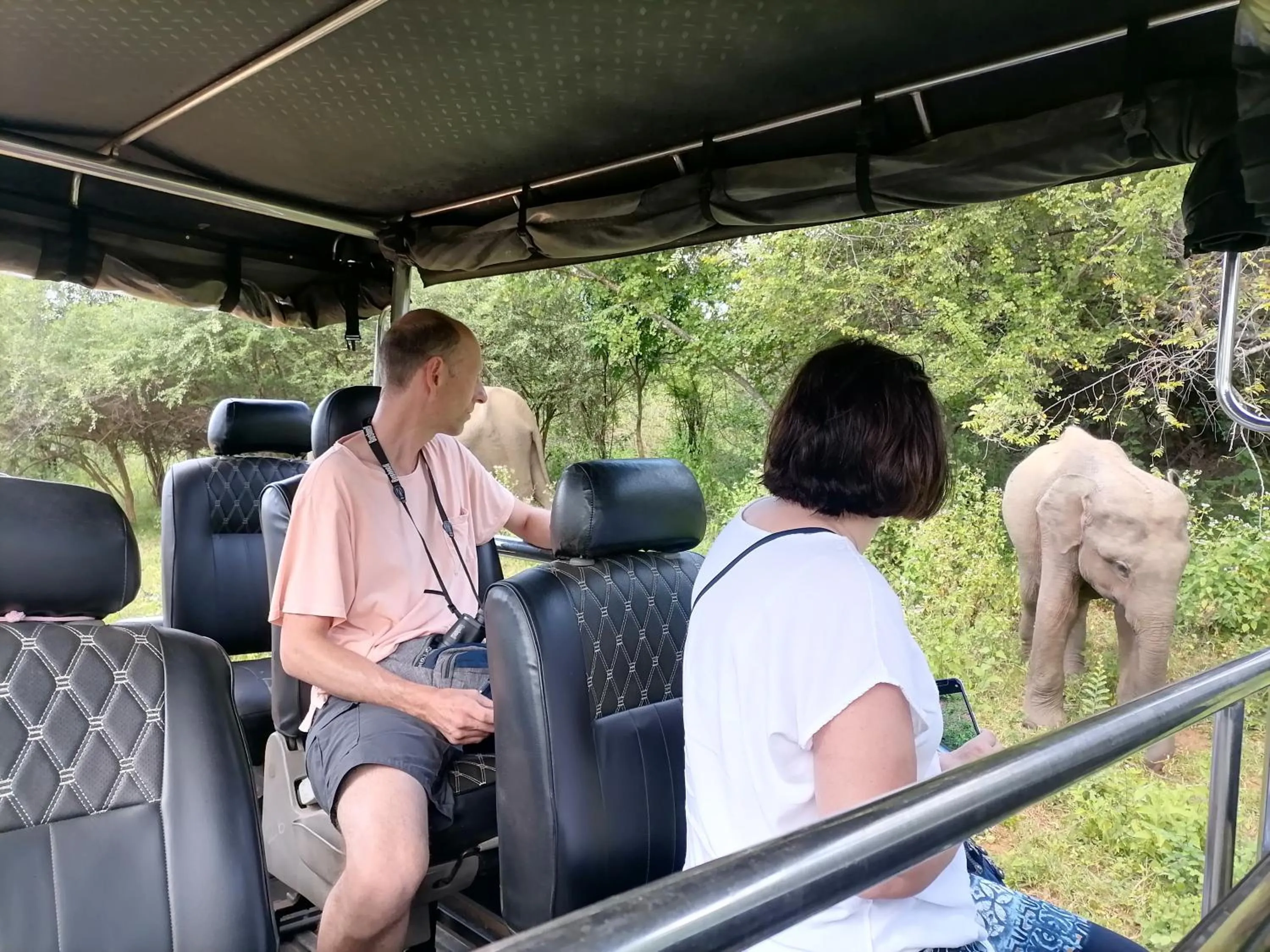 Day in Butterfly Homestead Hotel