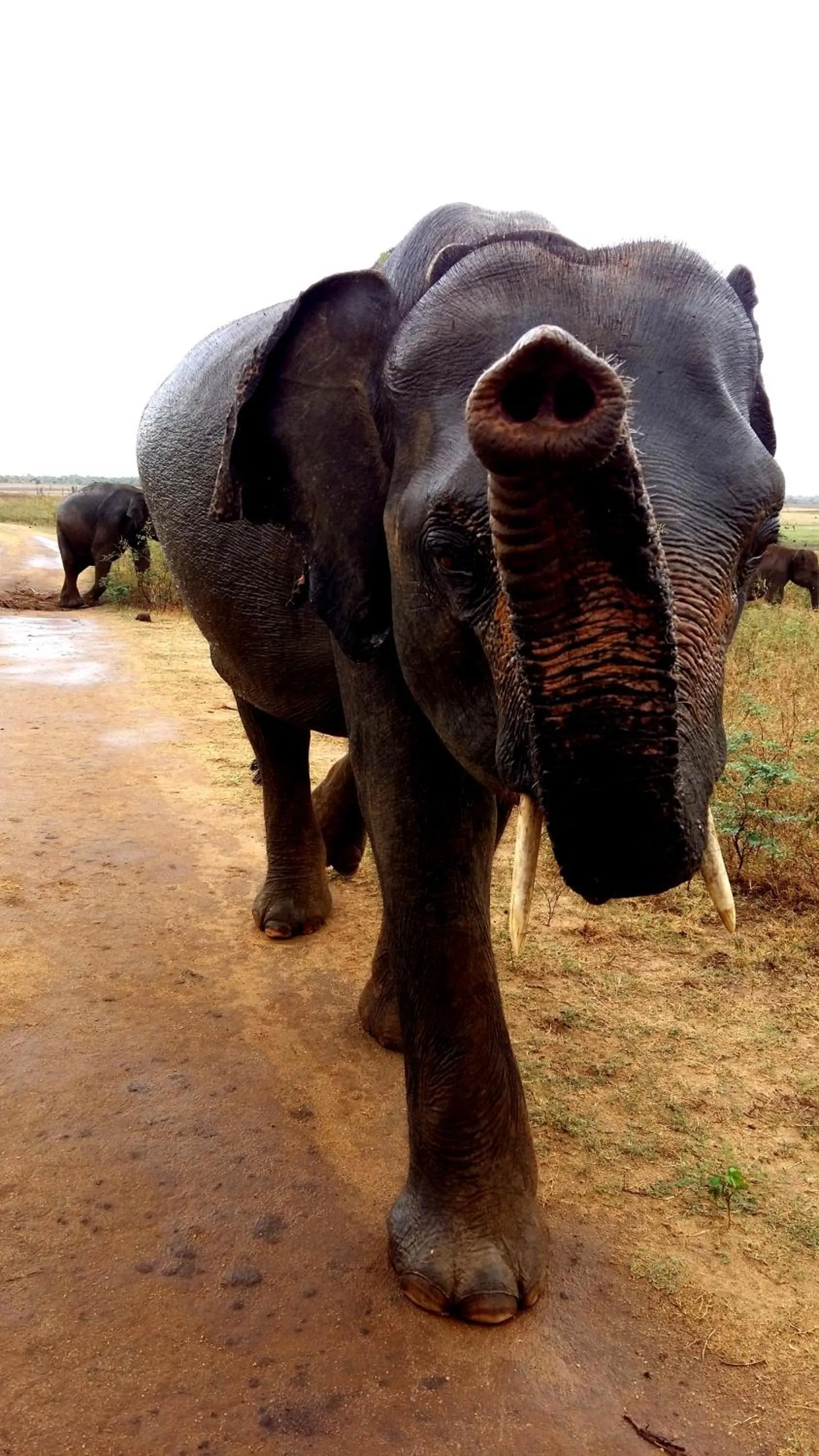 Day in Butterfly Homestead Hotel