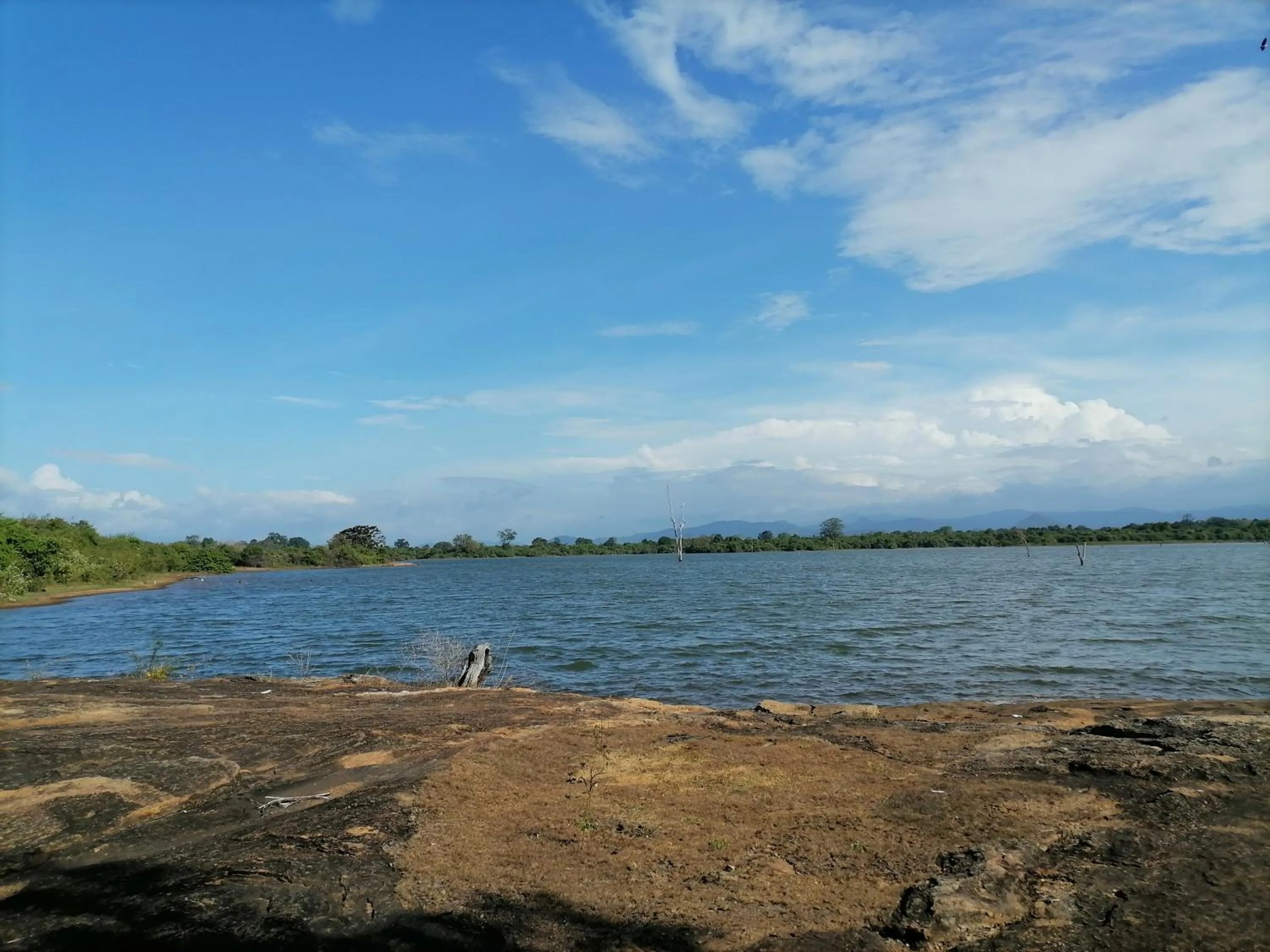 Day in Butterfly Homestead Hotel