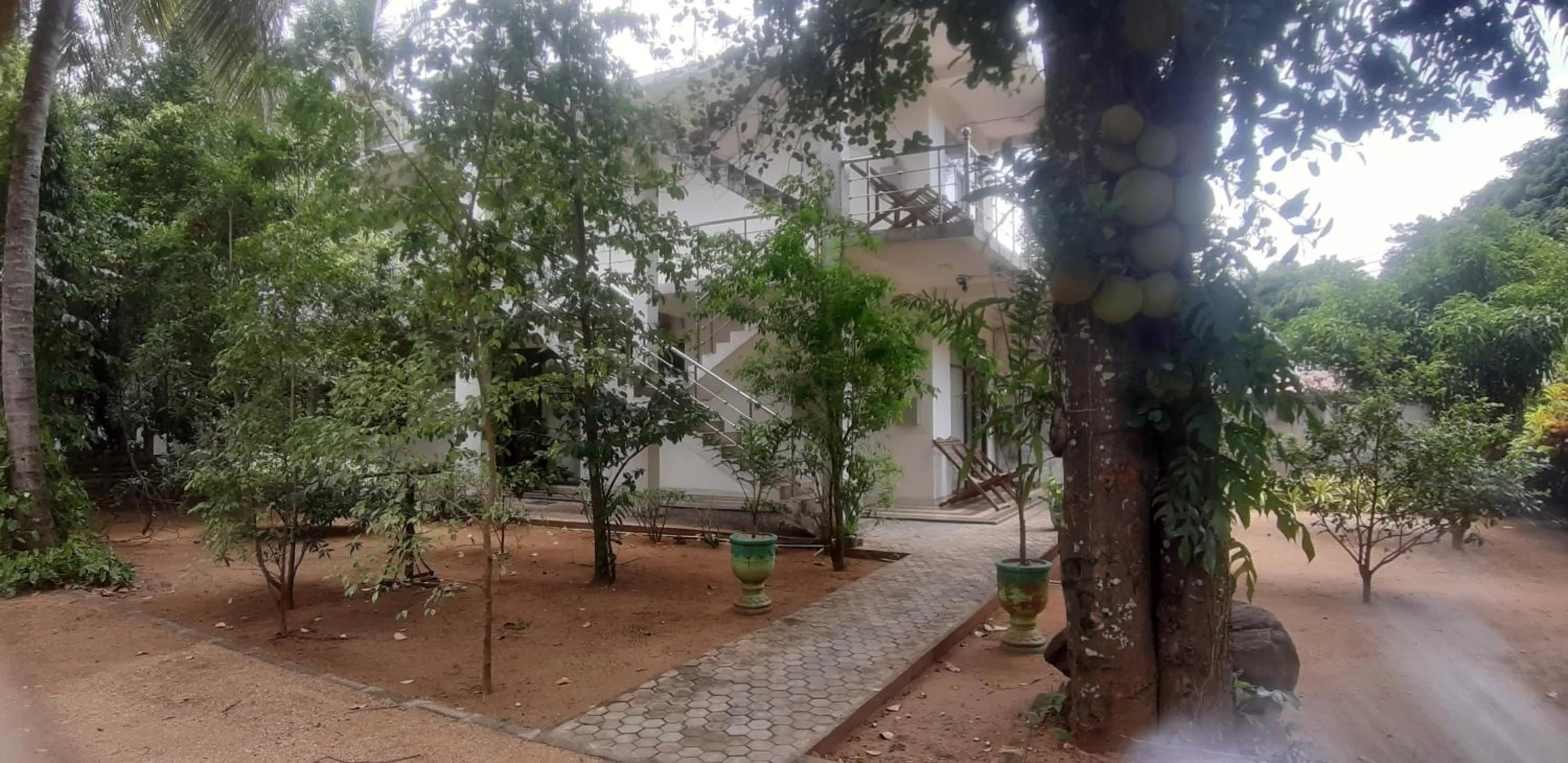 Natural landscape in Butterfly Homestead Hotel