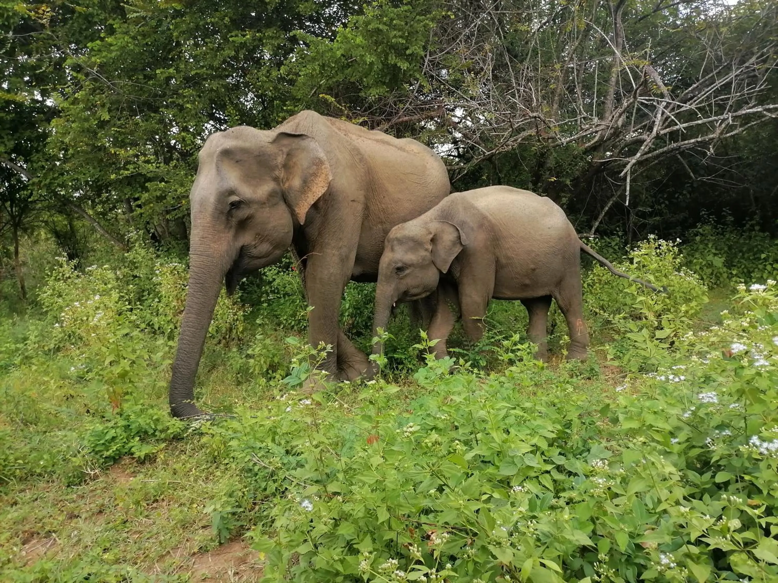 Day in Butterfly Homestead Hotel