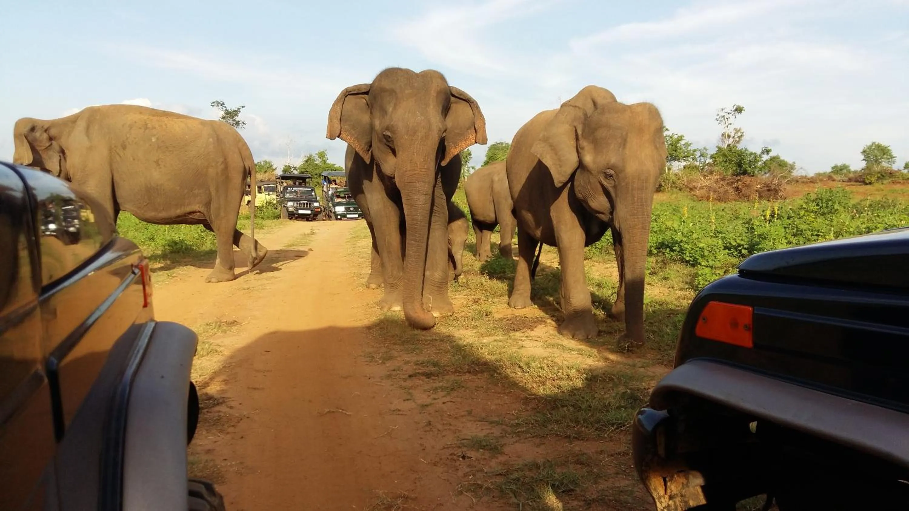 Nearby landmark in Butterfly Homestead Hotel