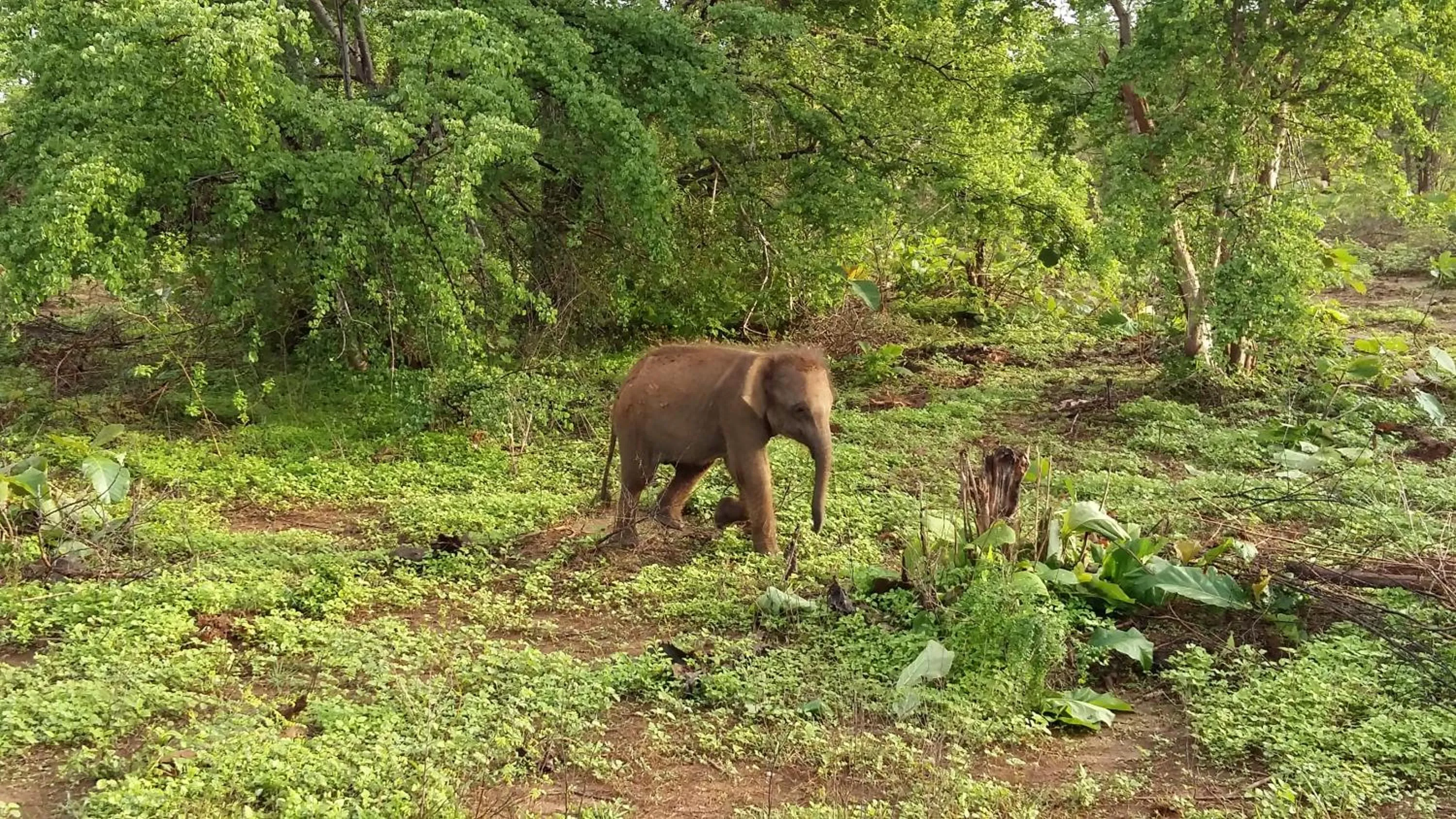 Day in Butterfly Homestead Hotel