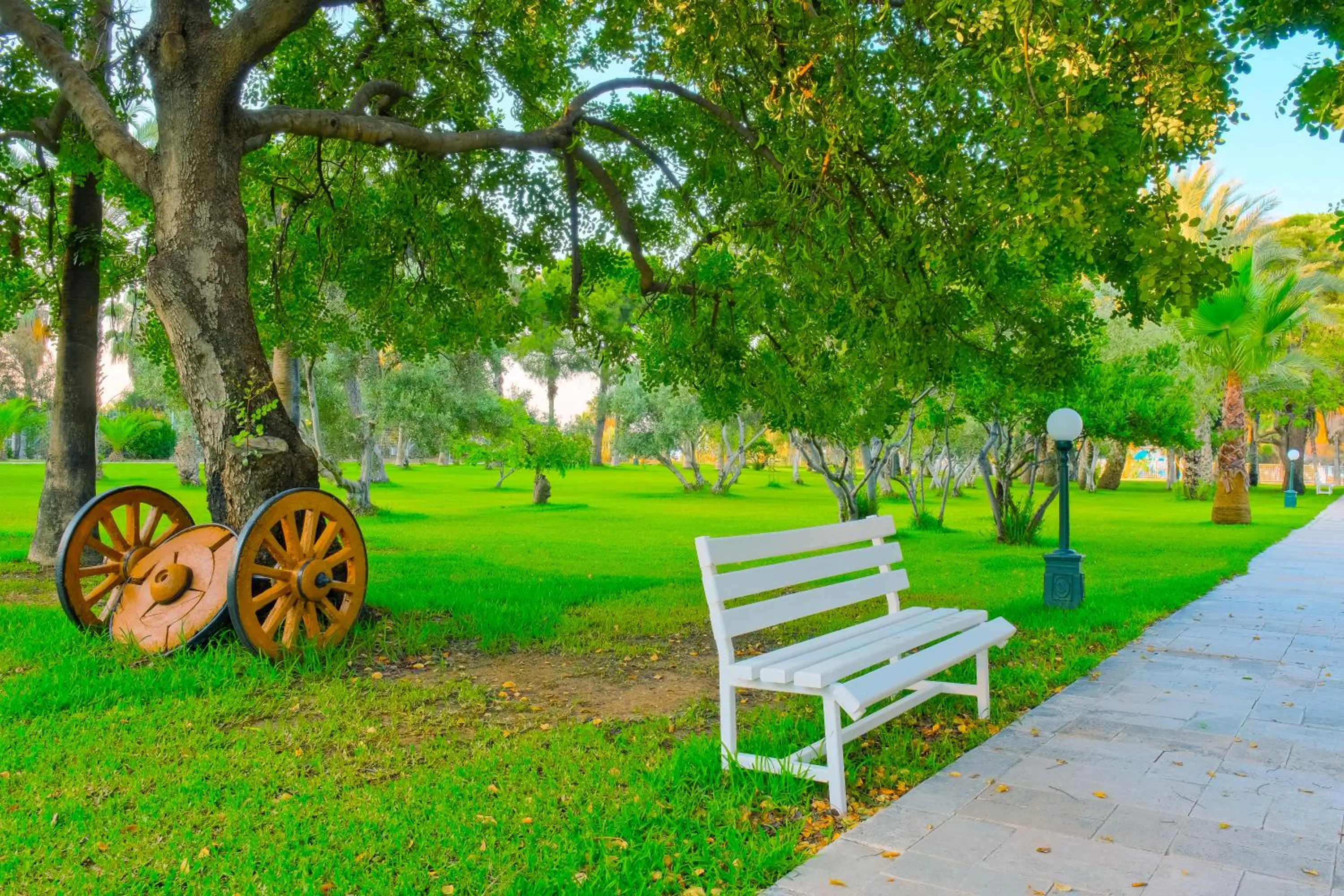 Garden in Sural Hotel