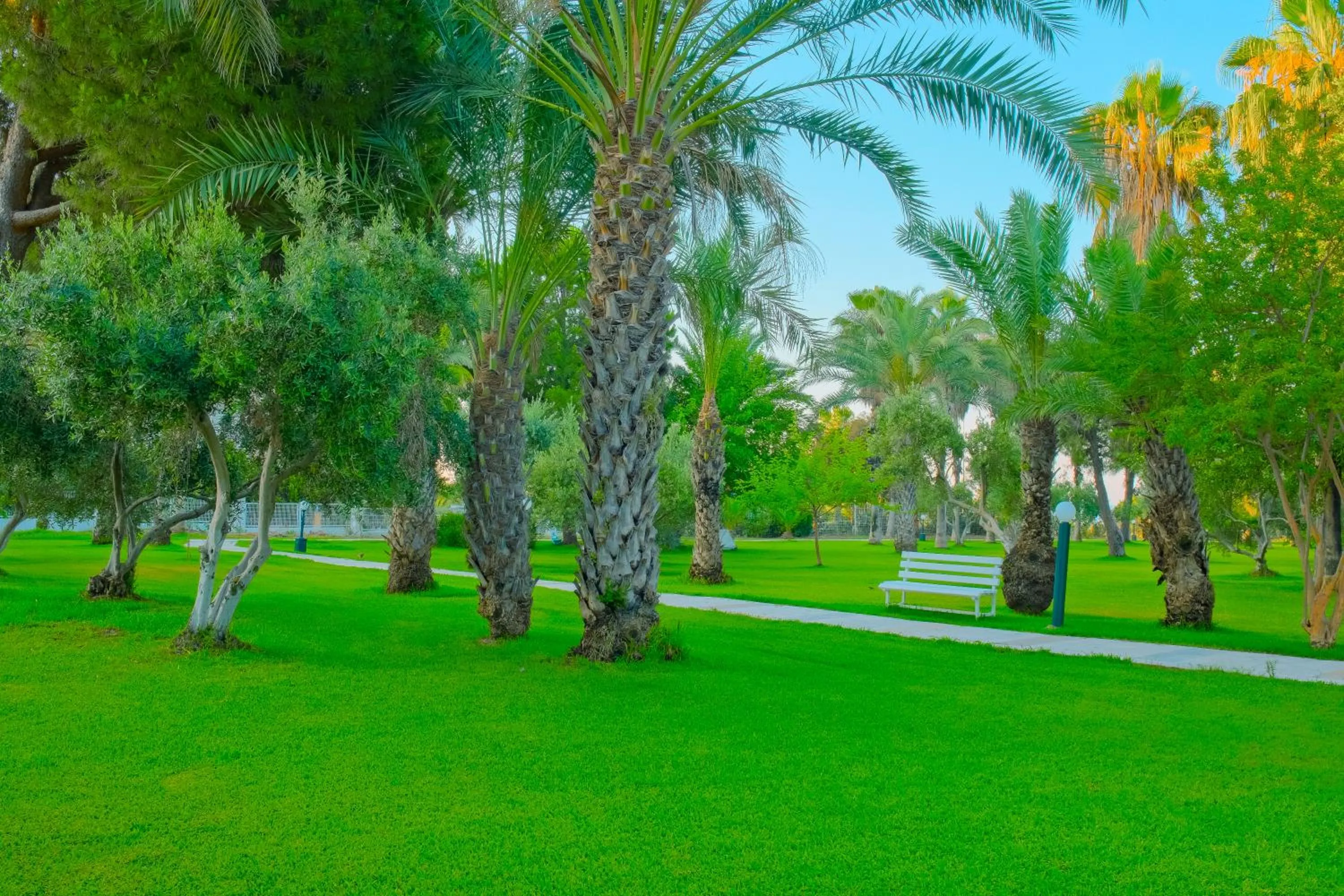Garden in Sural Hotel
