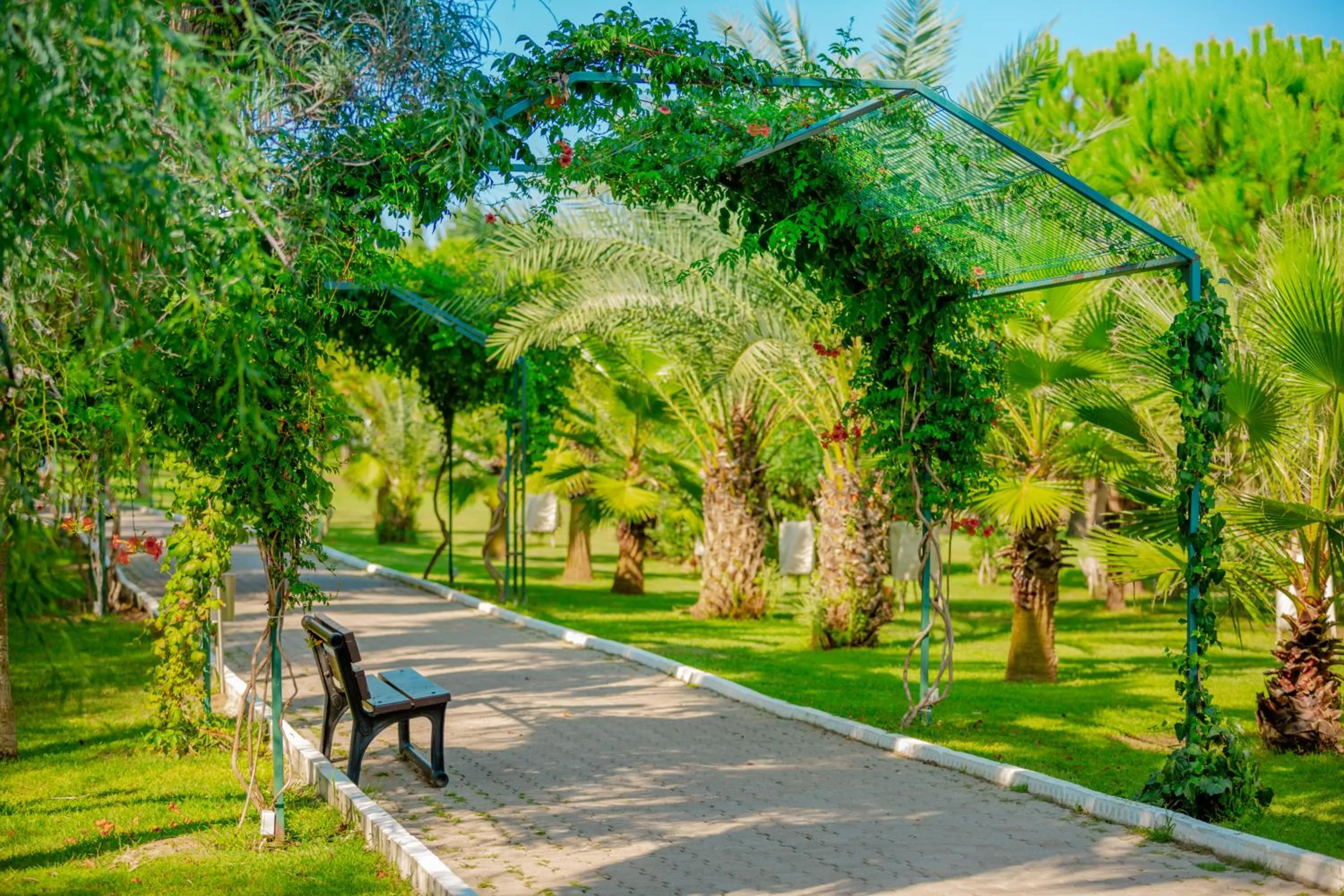 Garden in Sural Resort Hotel