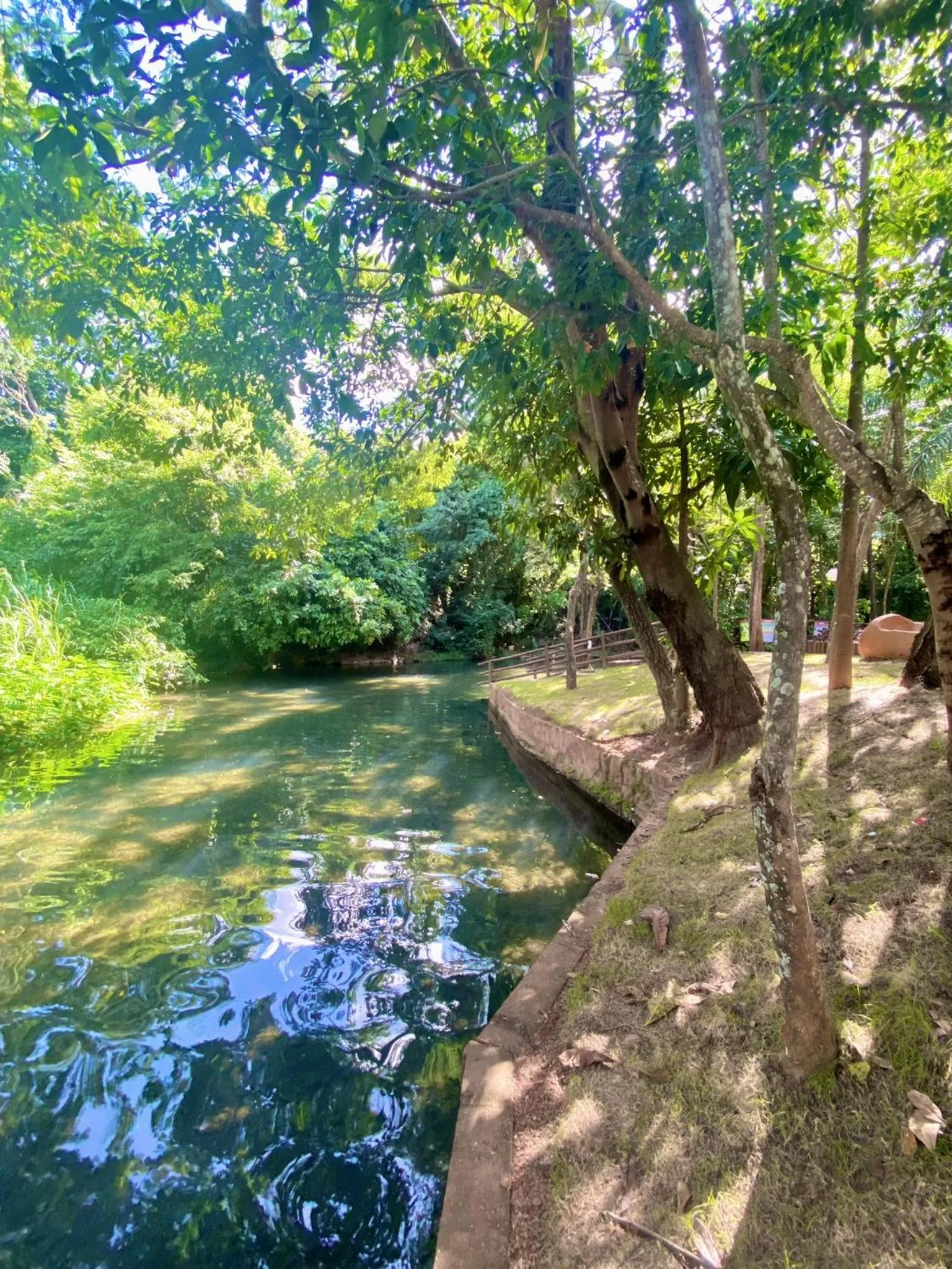 Natural landscape in IMG Hotel Rio Quente