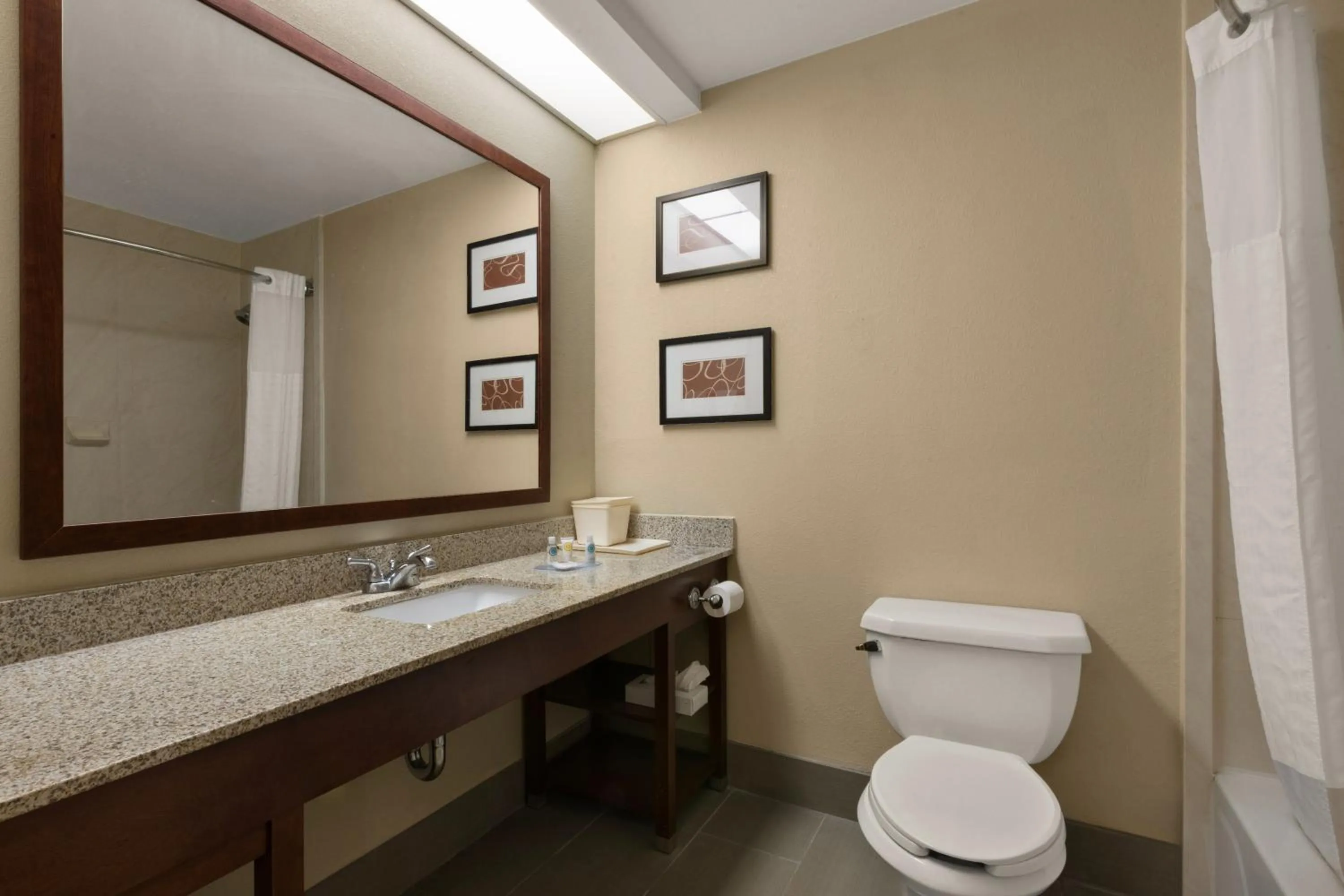 Toilet in Comfort Inn Bordentown near NJ Turnpike