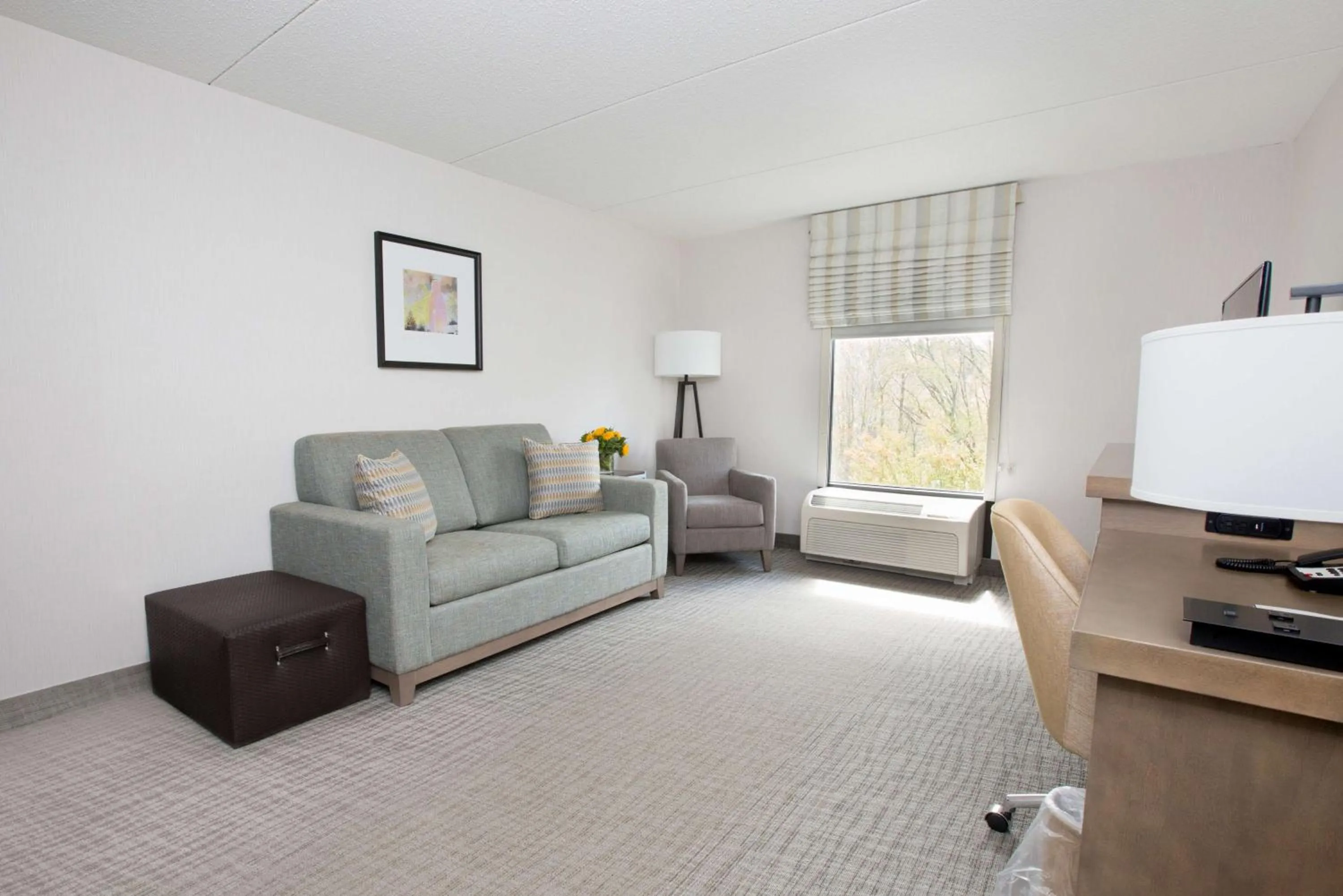 Living room in Hampton Inn Raynham-Taunton
