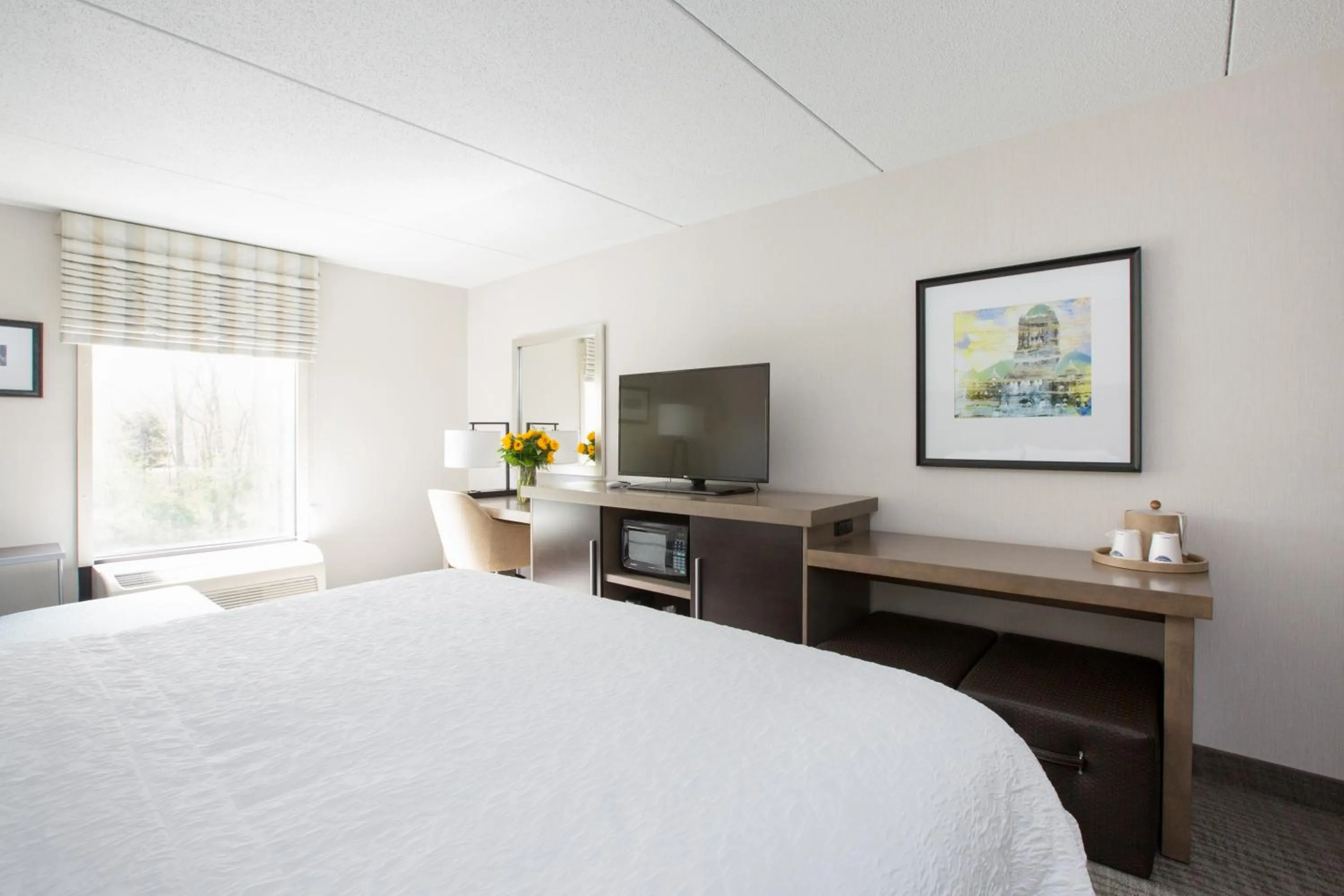 TV and multimedia, Bed in Hampton Inn Raynham-Taunton