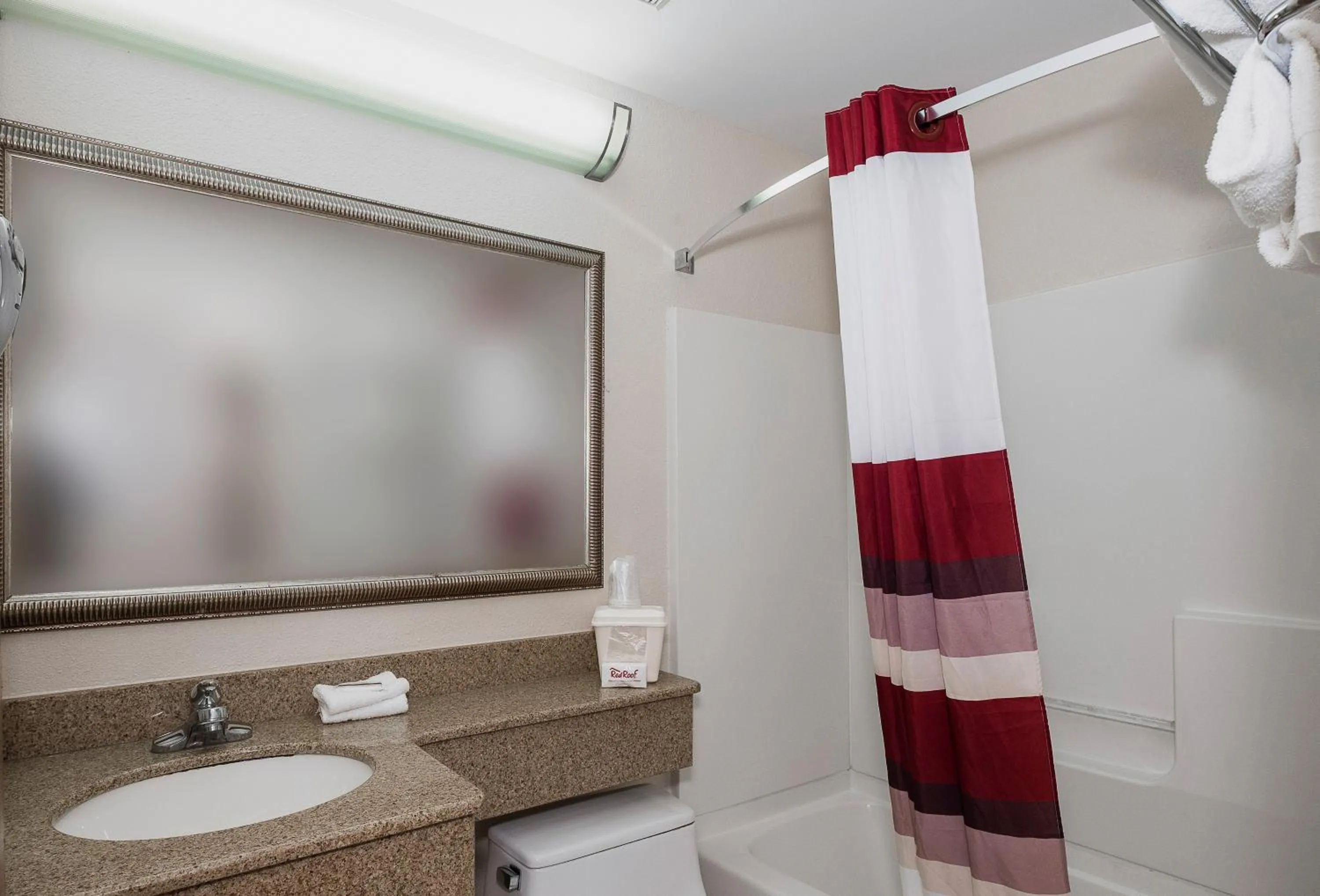 Bathroom in Red Roof Inn & Suites Mt Holly - McGuire AFB