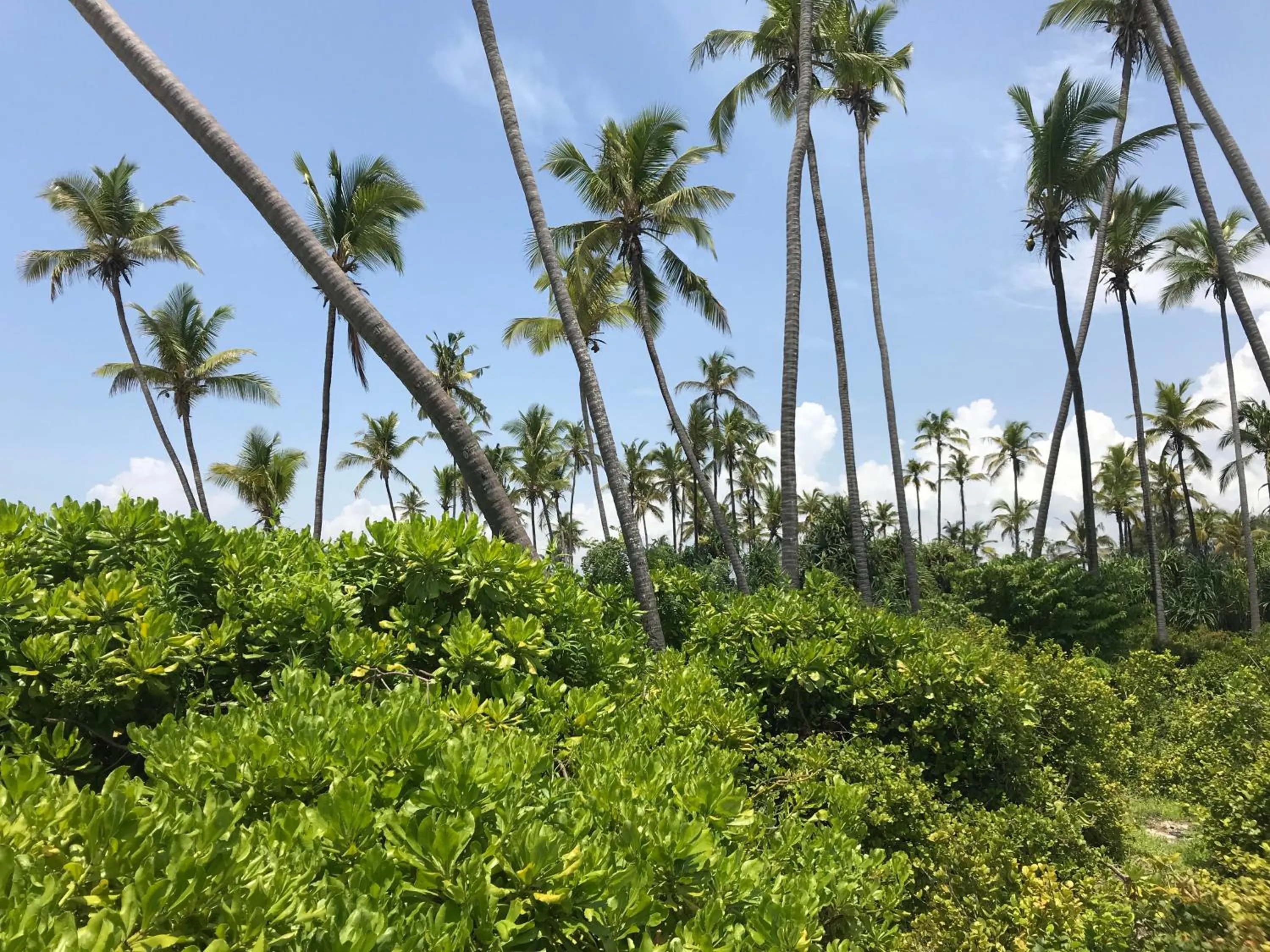 Property building in Isla Bonita Zanzibar Beach Resort