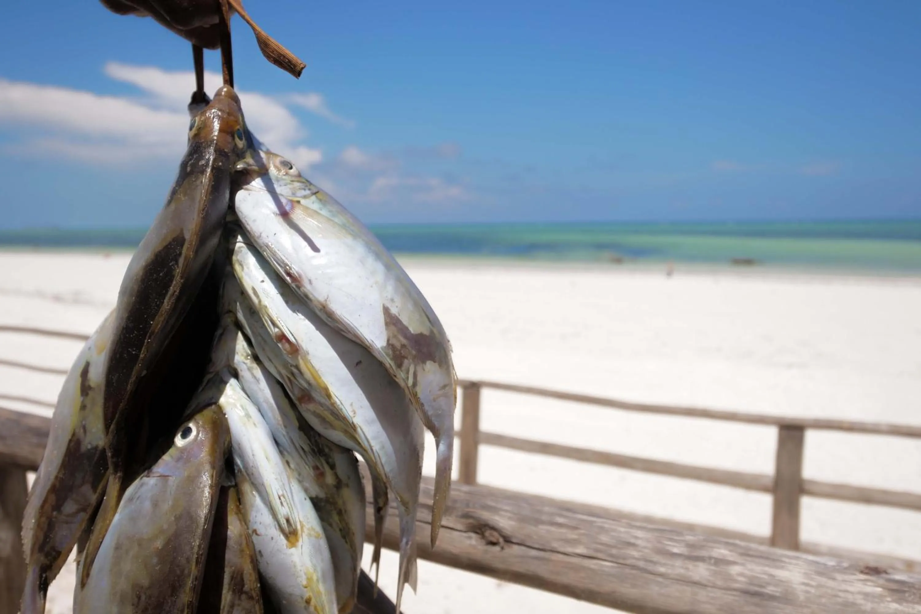 Sea view in Isla Bonita Zanzibar Beach Resort