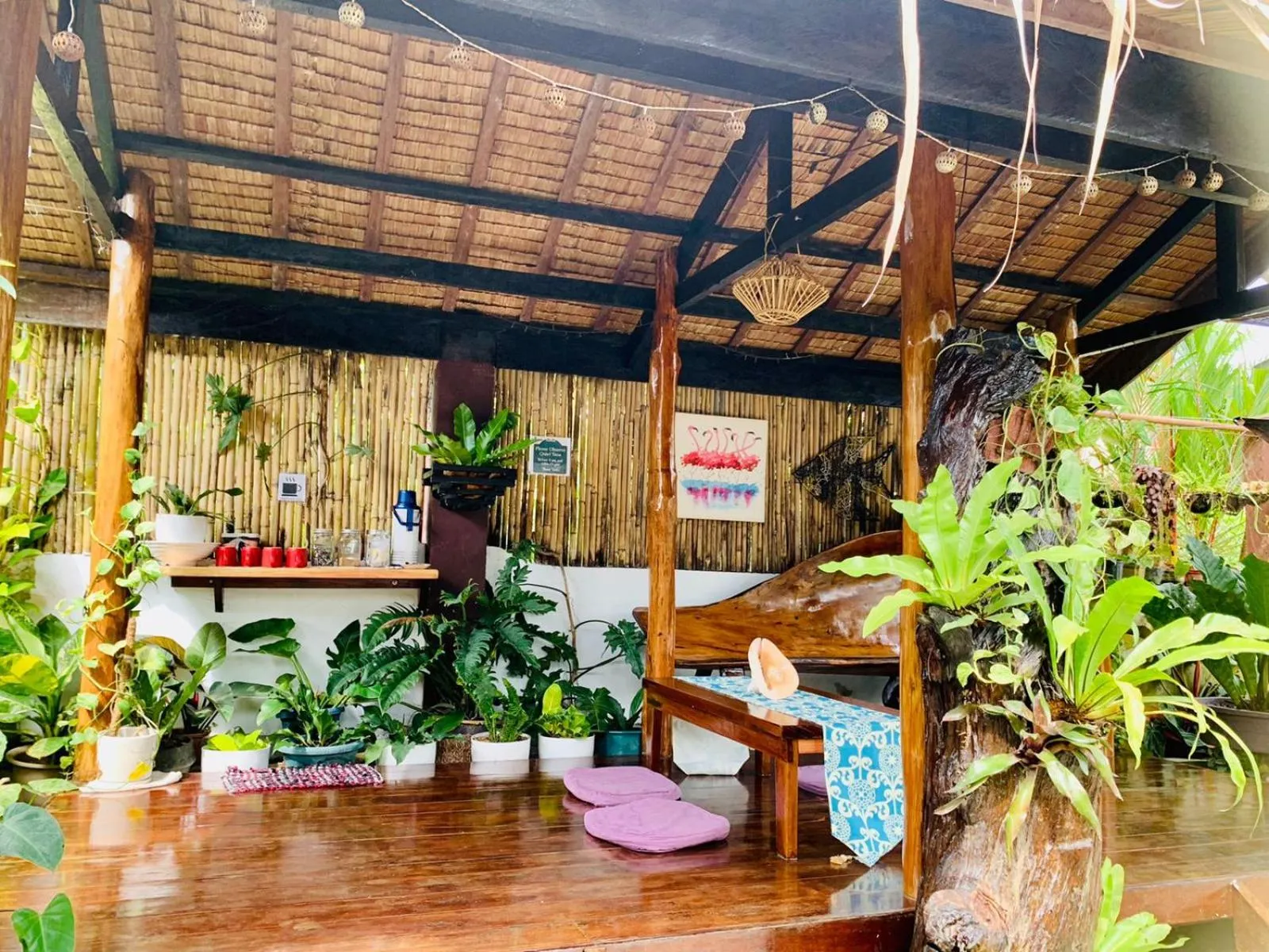 Pisces Tourist Inn - Port Barton